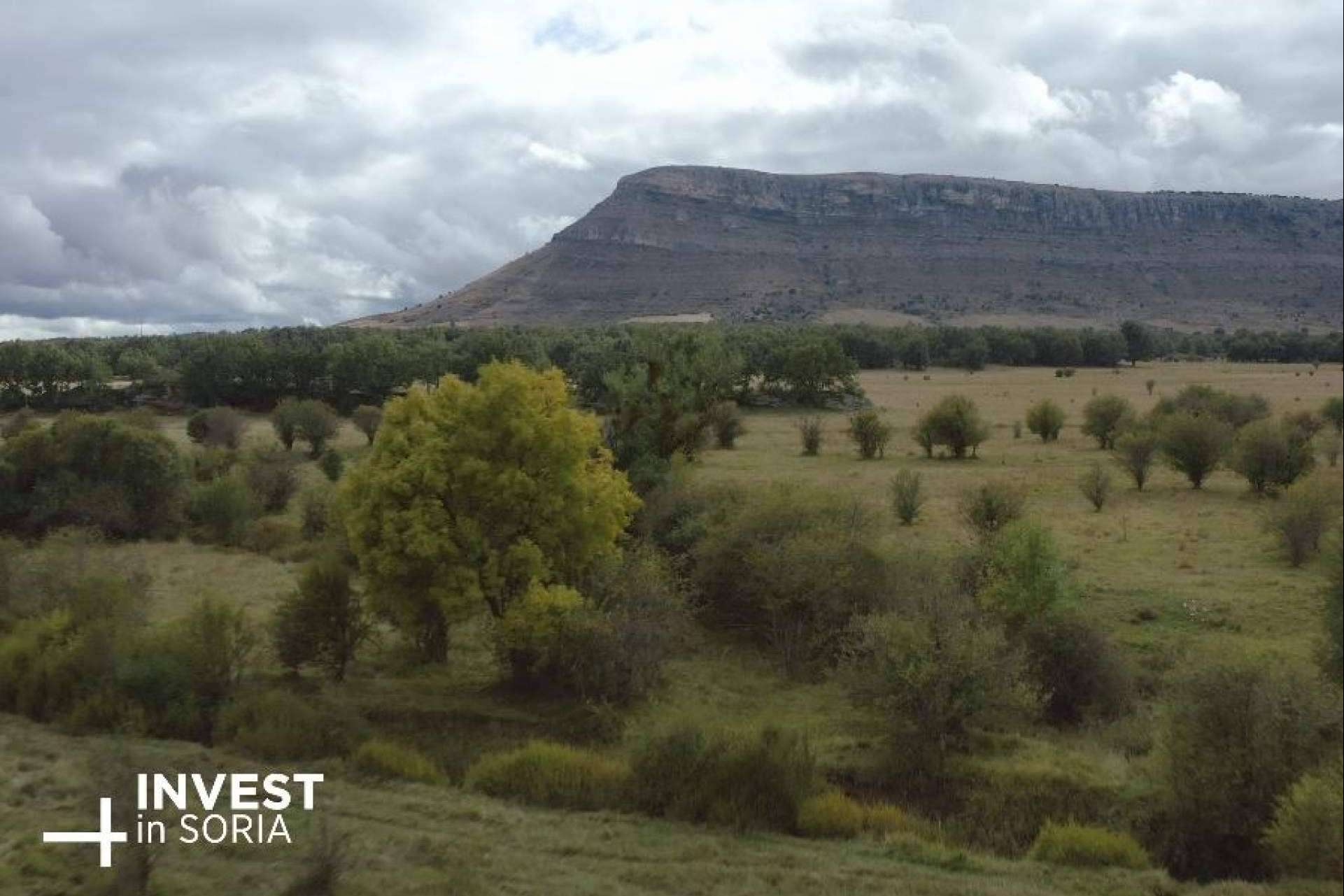 La provincia de Soria plantará un árbol por cada 10.000€ de inversión
