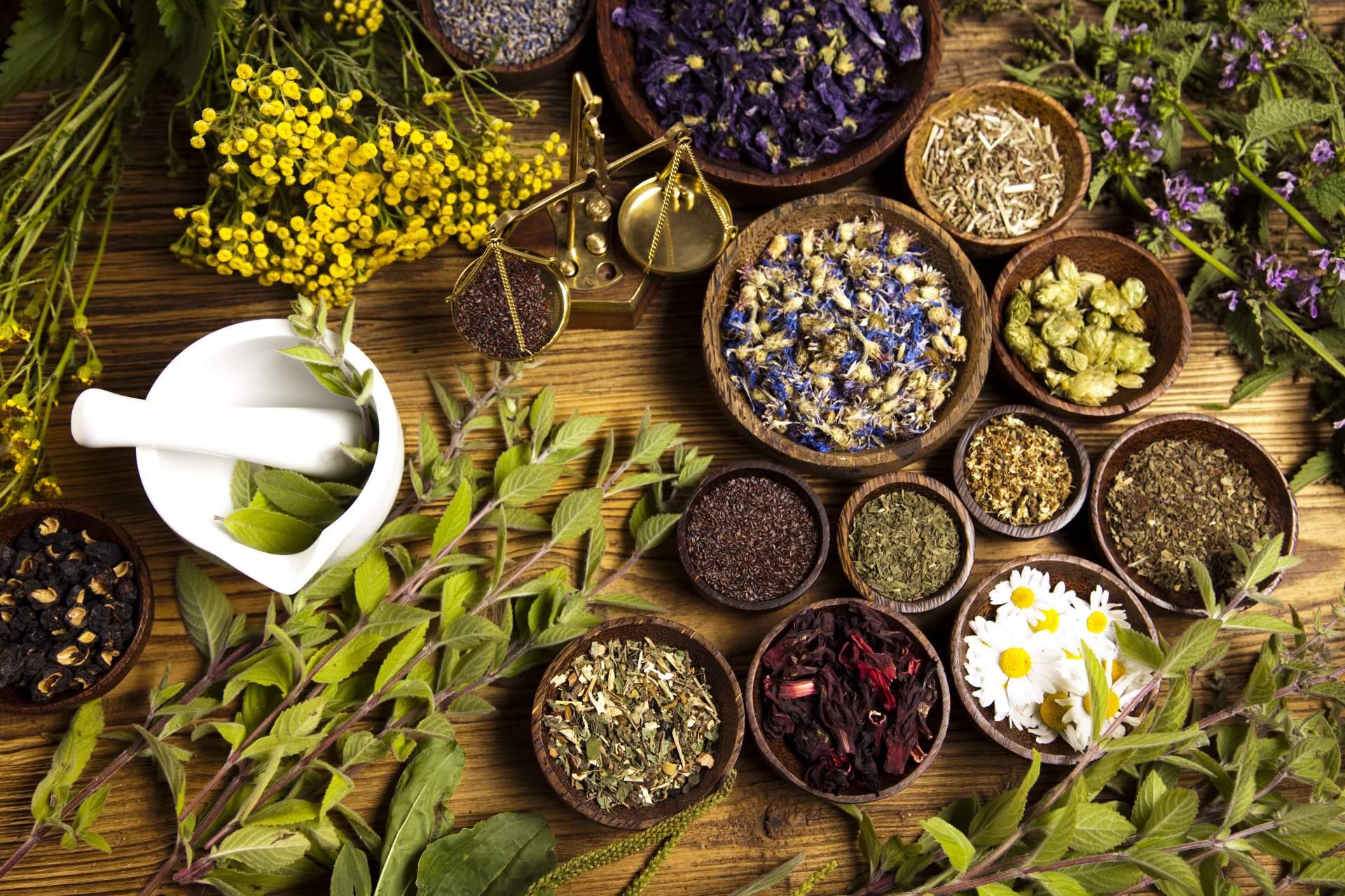 Conocer con Enubien los beneficios del cardamomo y del laurel