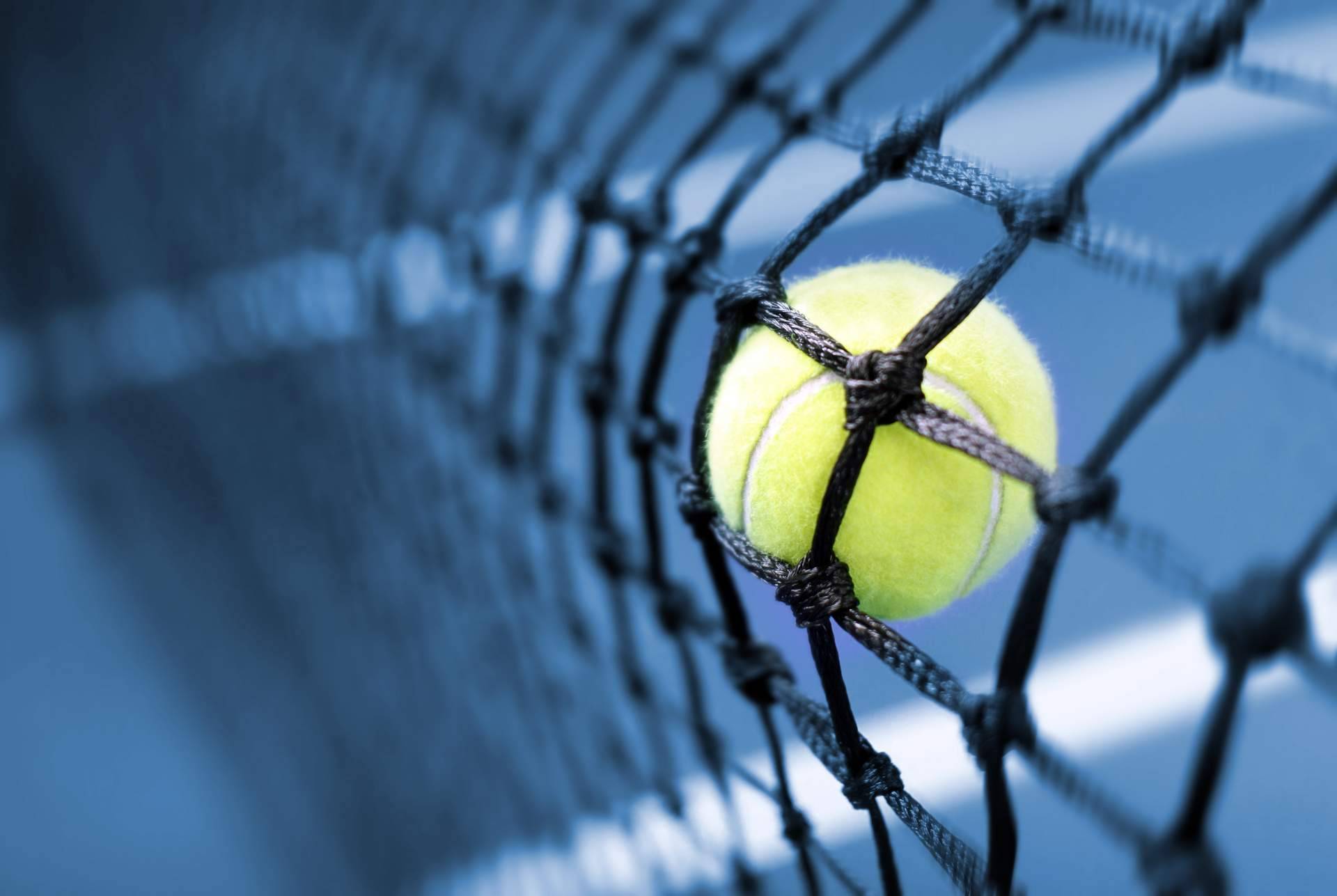 Las pelotas de tenis que ofrece SPORT AND TREND