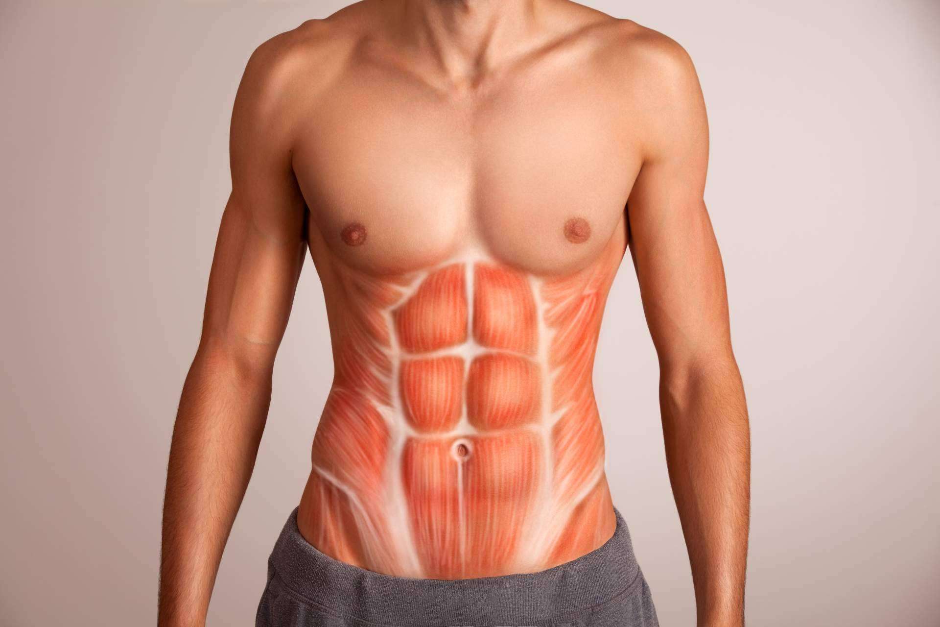 Qué es un atlas de anatomía y por qué debería haber uno en todas las casas