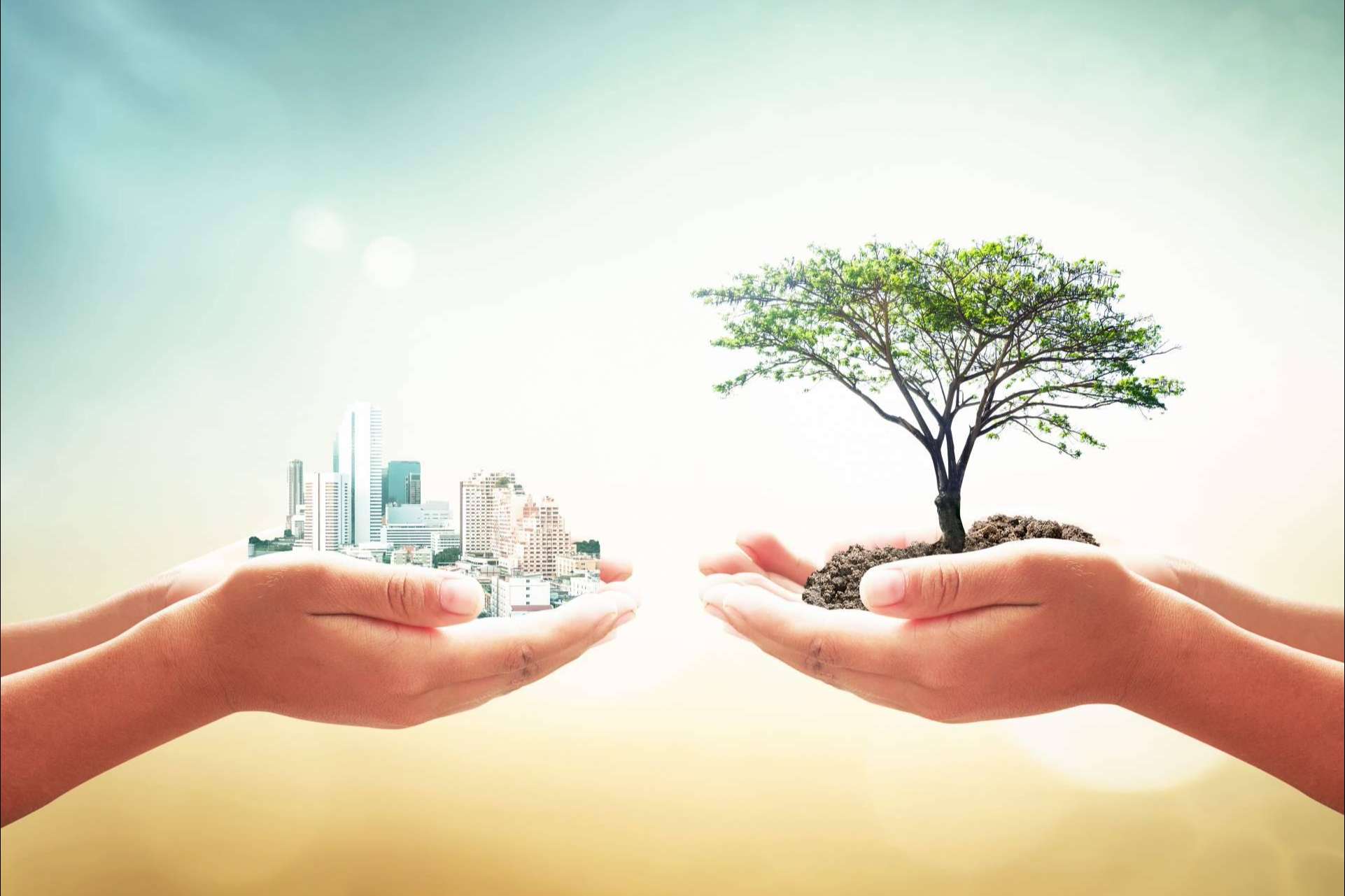 La importancia de la responsabilidad ambiental empresarial, por Ipostar