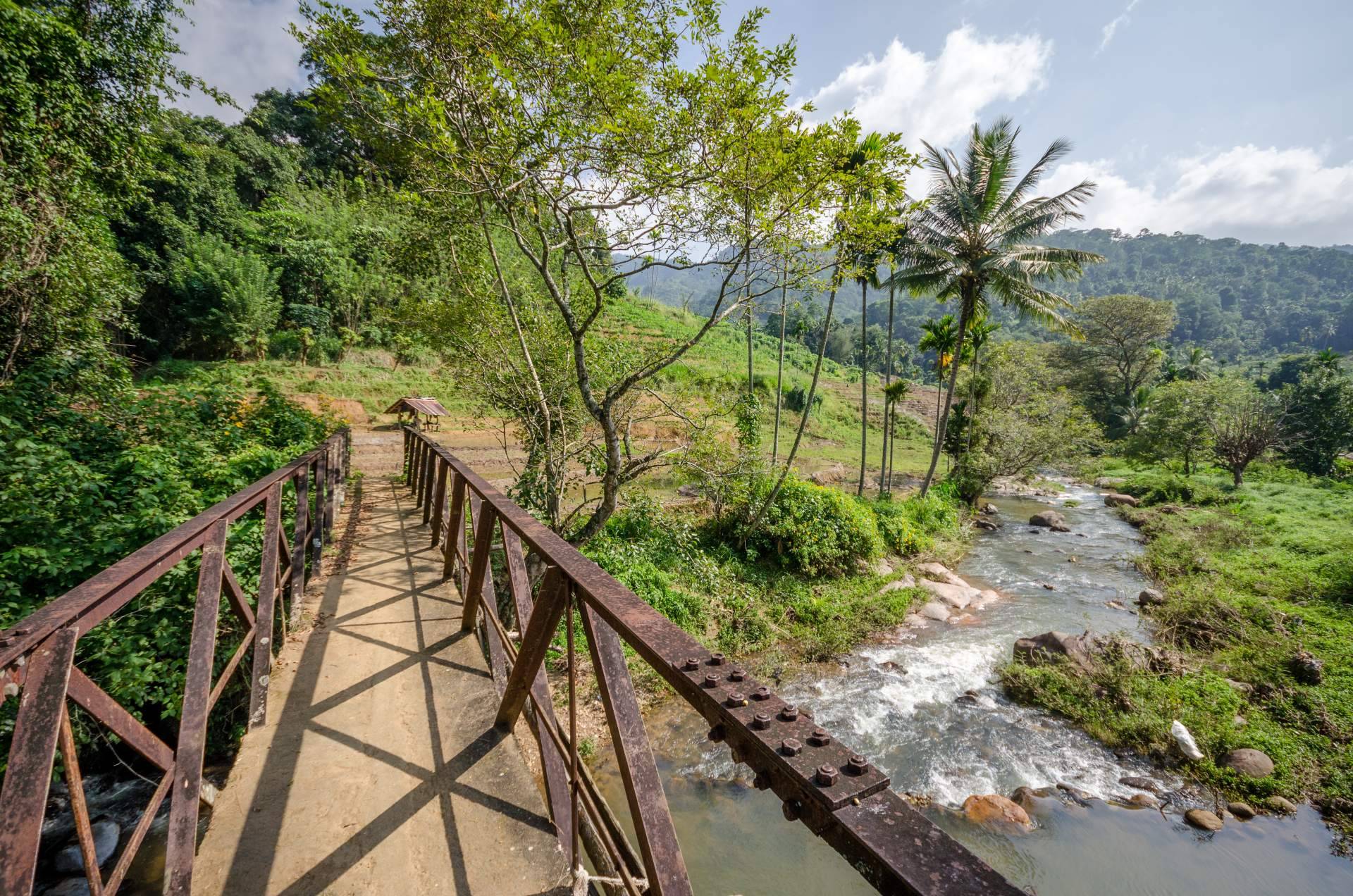 Viajes Edén, agencia especializada en viajes a Sri Lanka, recomienda visitar Knuckles