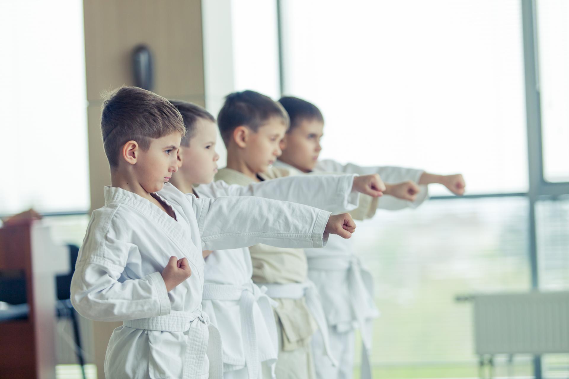 La Escuela de Artes Marciales y Kenpo Kai en Madrid, El Dojo, es elegida como una de las principales opciones como extraescolar