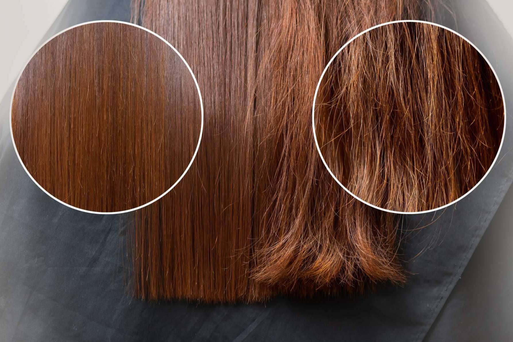 Keratin Europa cuida del cabello con fórmulas cruelty free