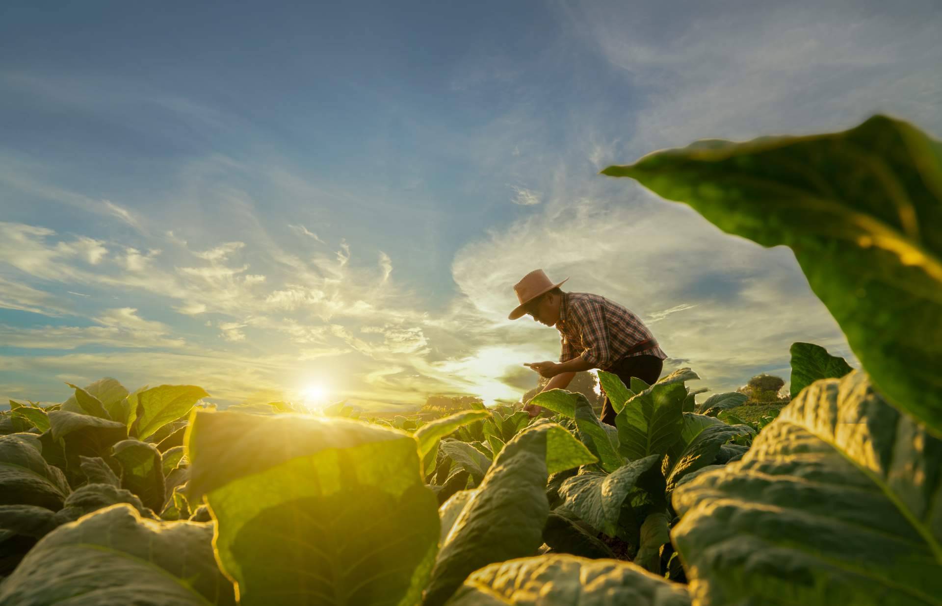 Nuevas formas de producción sostenible y respetuosa con el medio y los animales