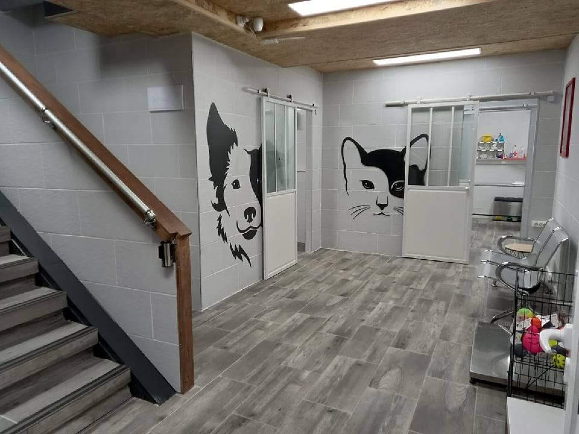 Clínica veterinaria Irún con servicio de urgencias 24 horas: Amaita Mascota