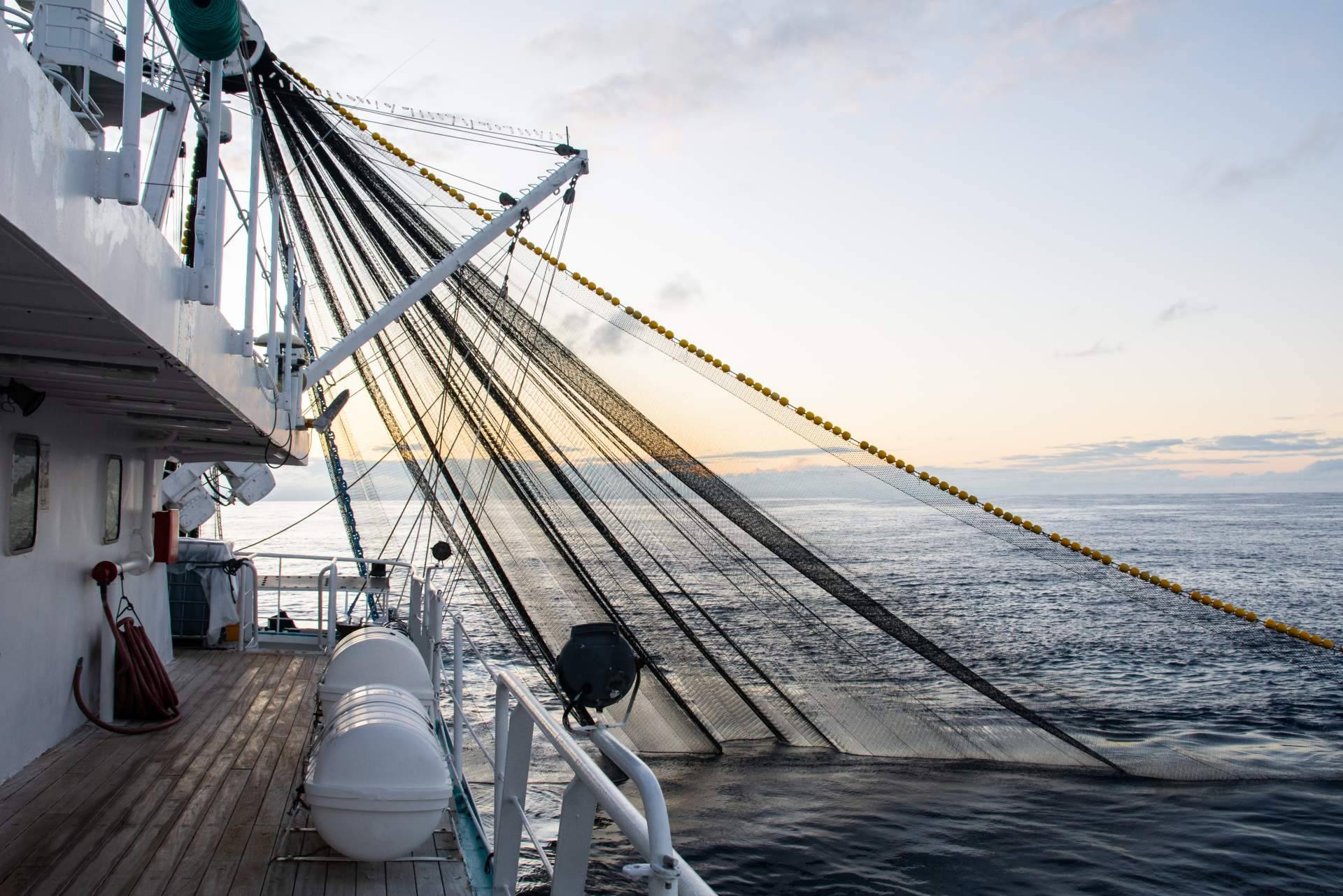 Anchor swivels, los sistemas giratorios para anclas de calidad que ofrece Nova Argonautica