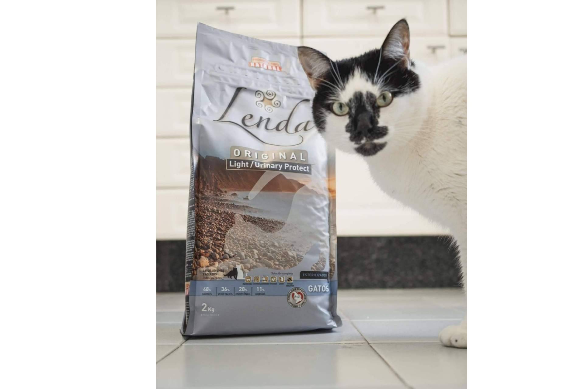 Beneficios de la comida natural para gatos, por Lenda
