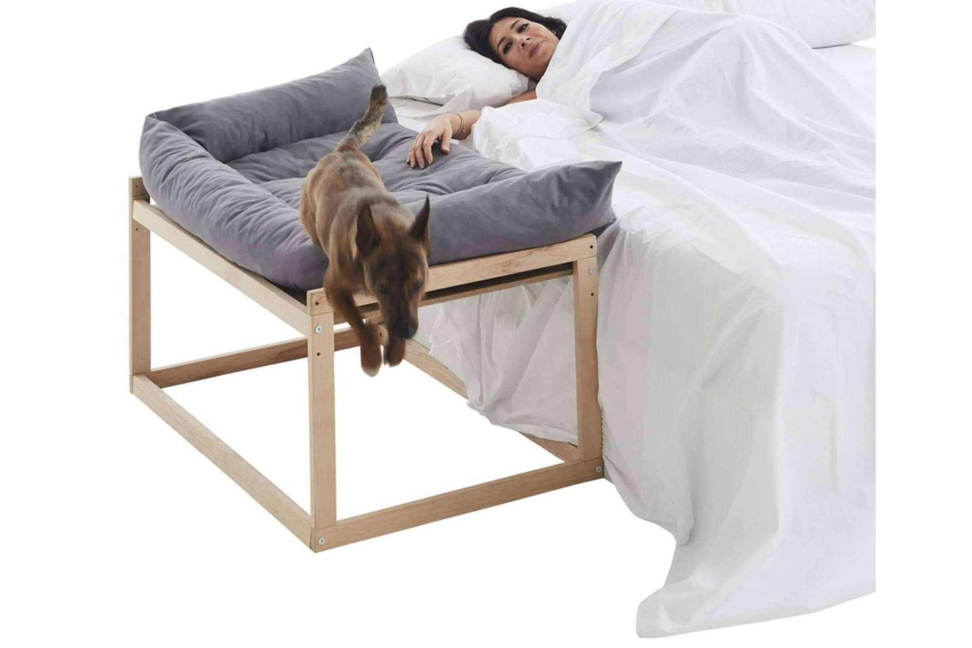 Las camas colecho para perros de Cool-Dreams