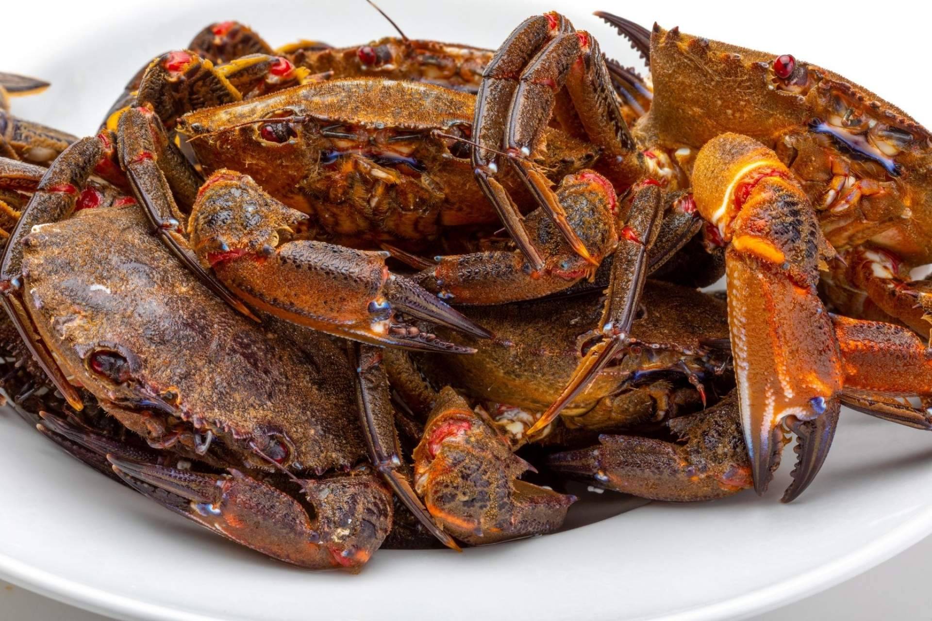 Disfrutar de unas nécoras de la Ría a domicilio gracias a Marisco Galego