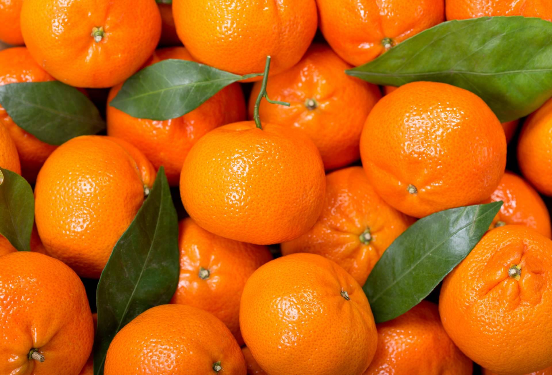 Finca el Carraixet ofrece mandarinas de calidad en su página web