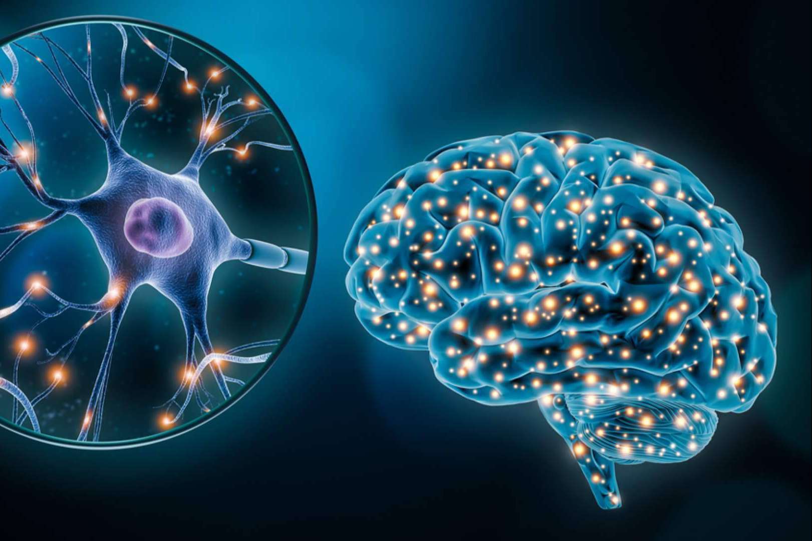 INIMA Rehabilitación enseña la importancia de la estimulación cognitiva