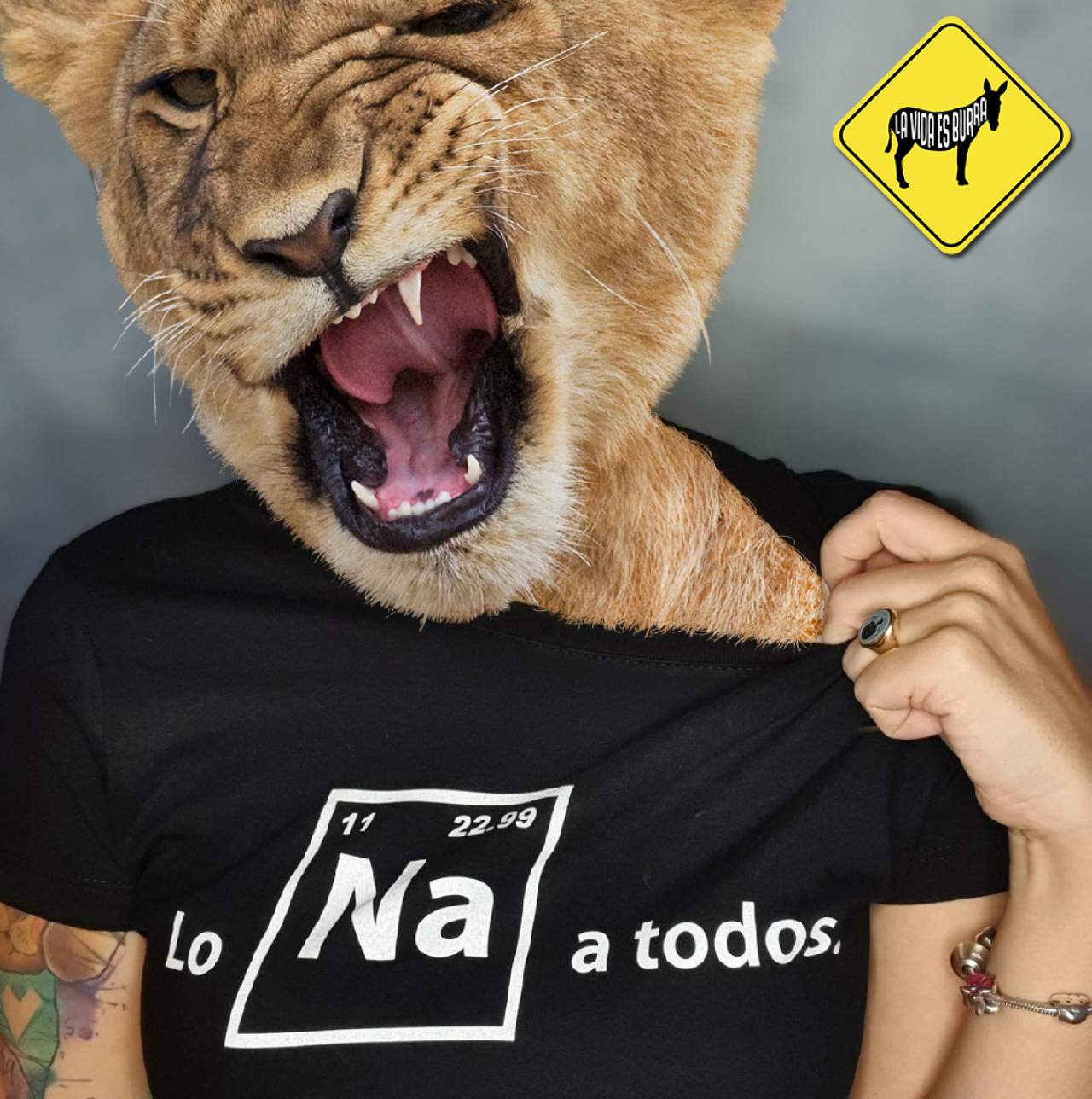 Camisetas originales en Tres en un Burro