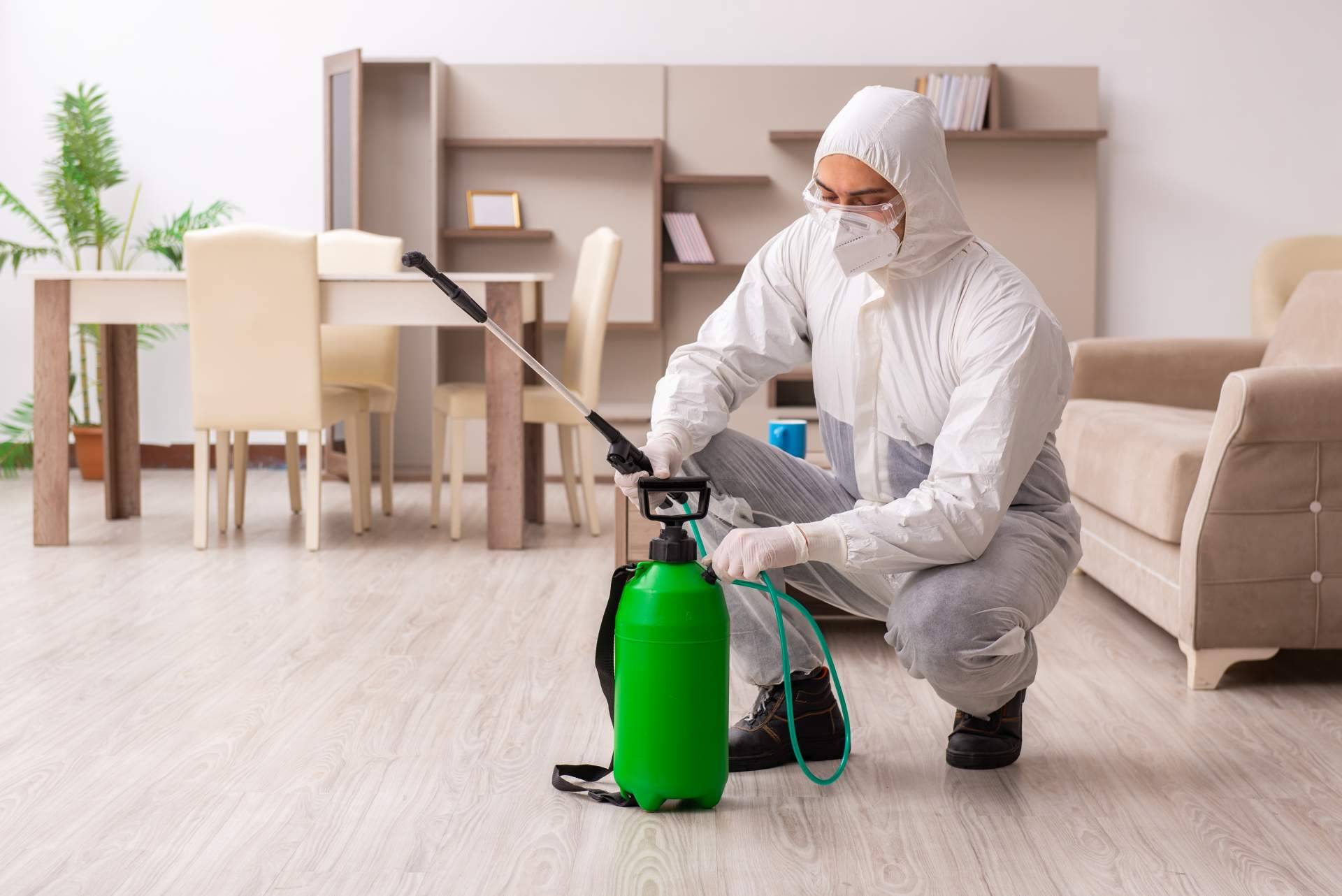 American Pest Control, la empresa de control de plagas de Madrid