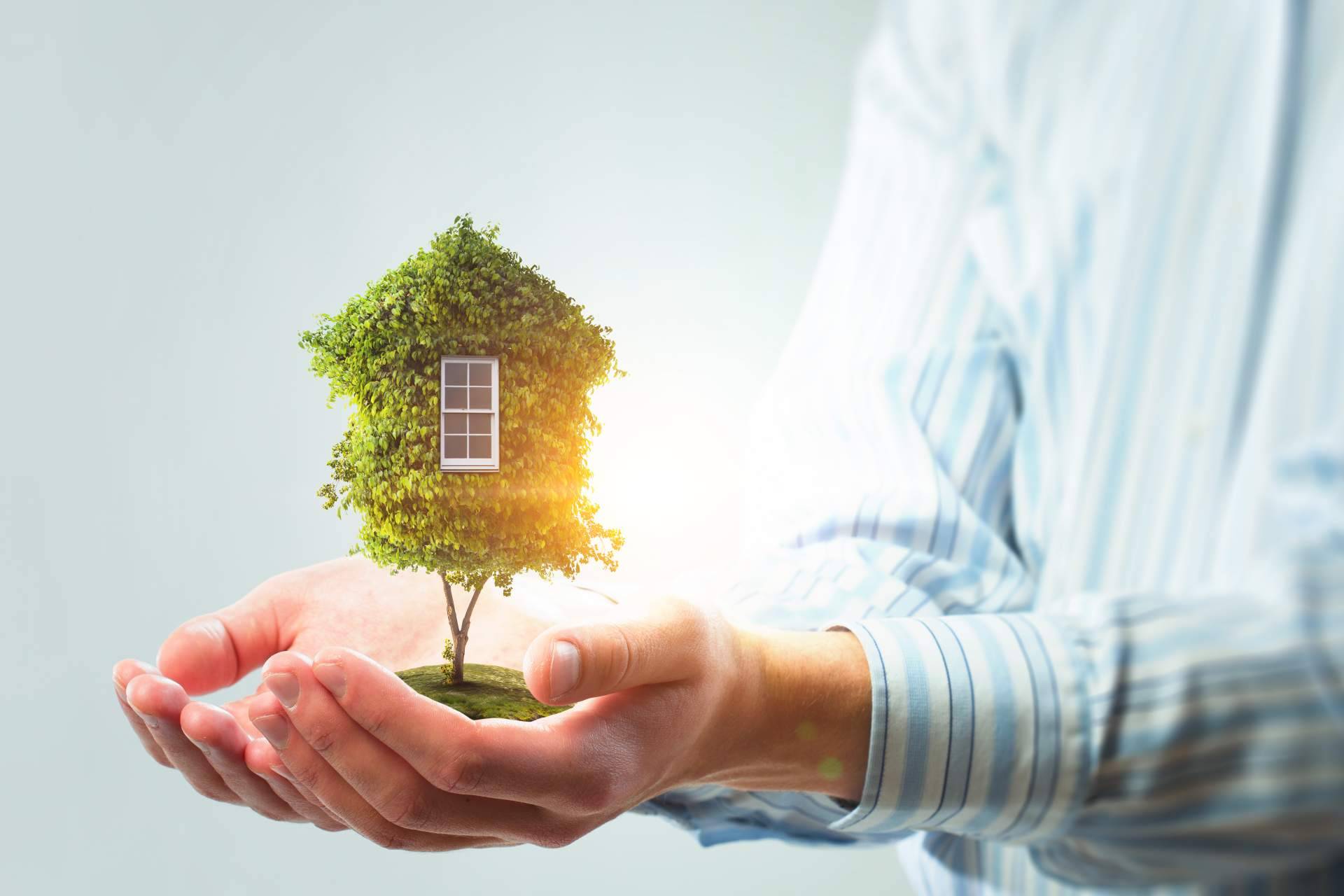 Hipotecas verdes y qué beneficios tienen, por Rn tusolucionhipotecaria.com