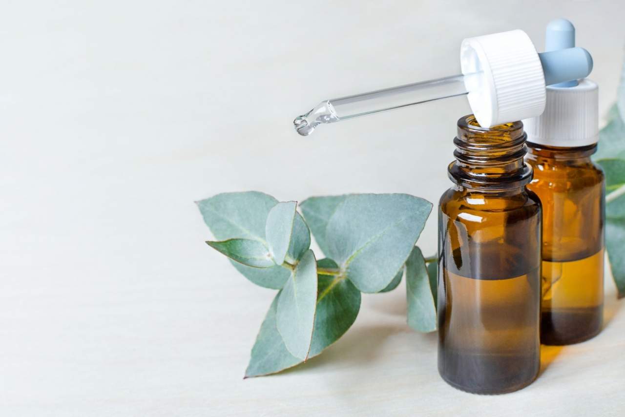 La naturoterapia en España, ¿es popular?