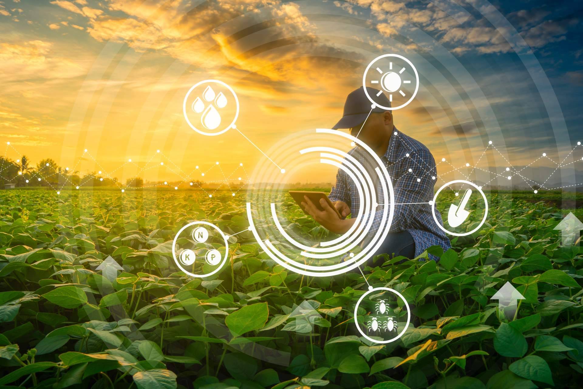 La internet de las cosas permite una agricultura inteligente