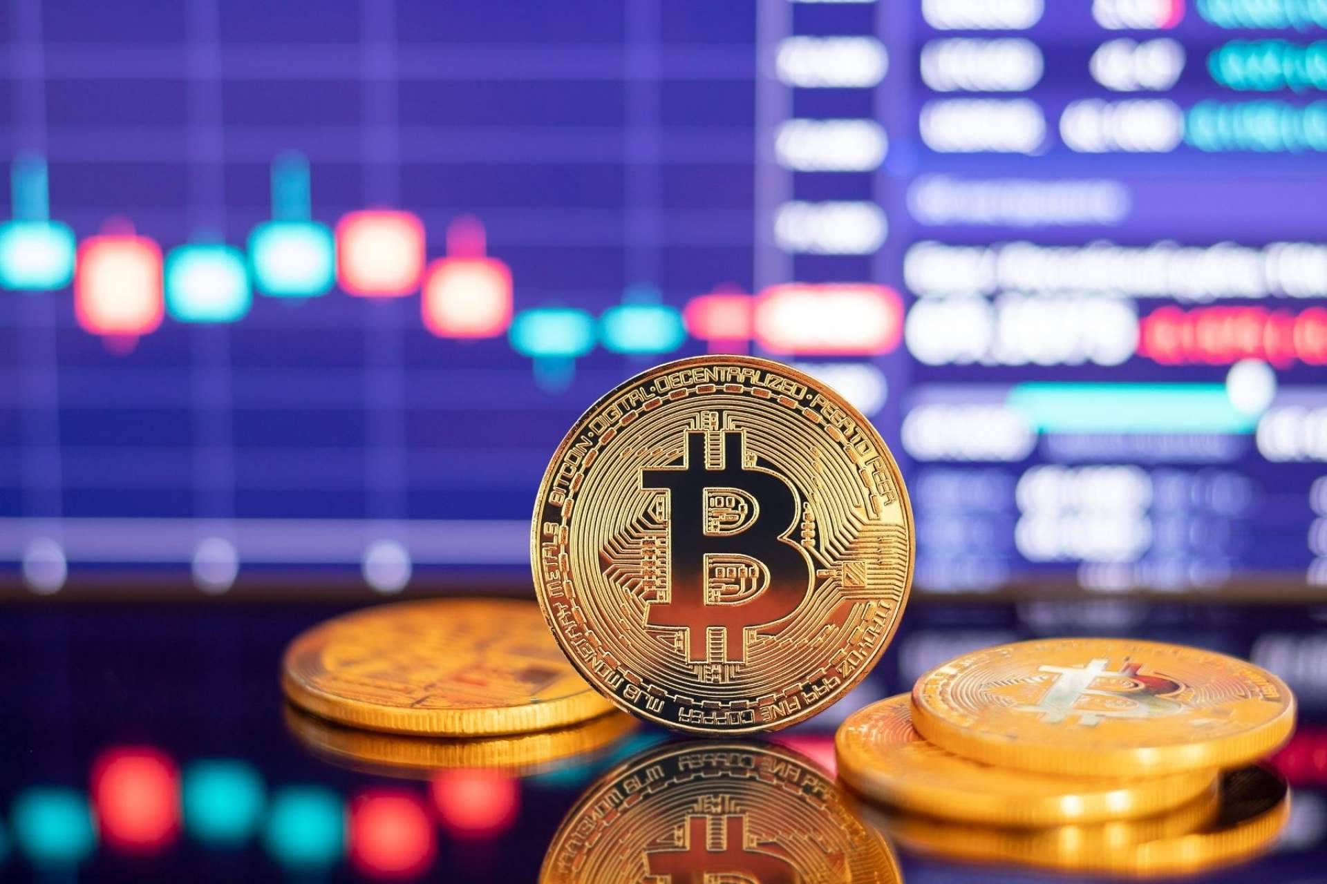 Uno de los mejores cursos de trading con bitcoin y criptomonedas de la mano de CryptoSharks