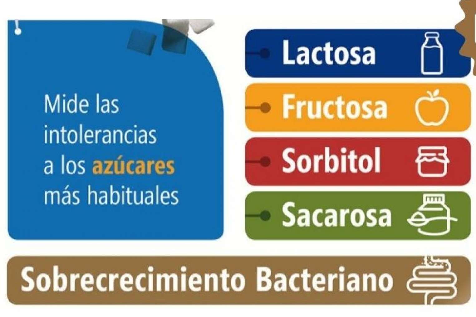 Las intolerancias alimentarias son reversibles con UMEBIR