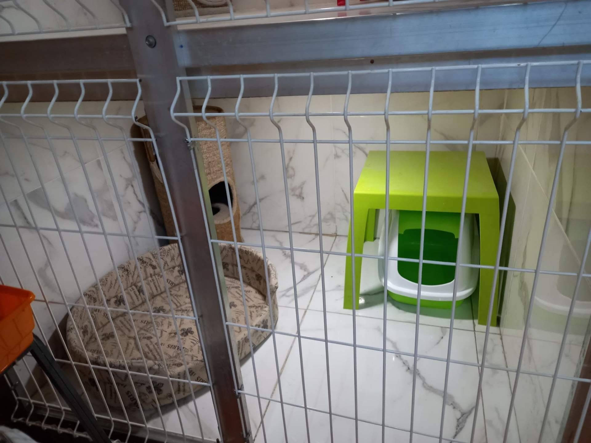 ¿Dónde encontrar un hotel de mascotas en Irún?: Amaita Mascotas
