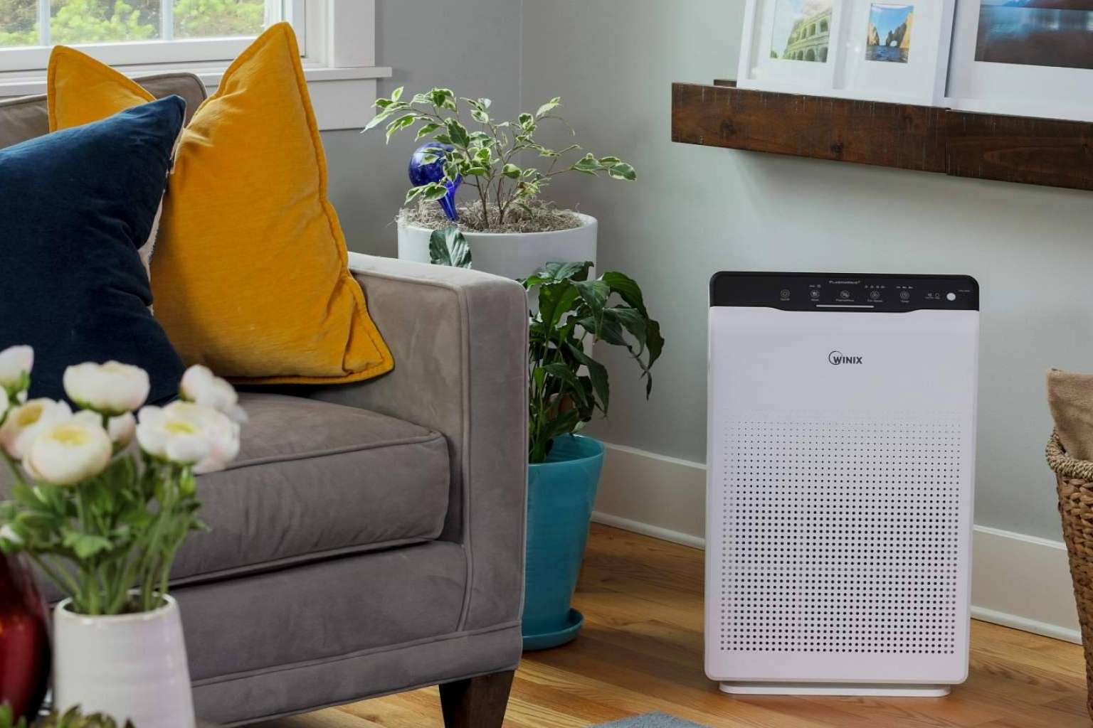 Los purificadores WINIX, disponibles en la tienda online Protect Soiart Distribución