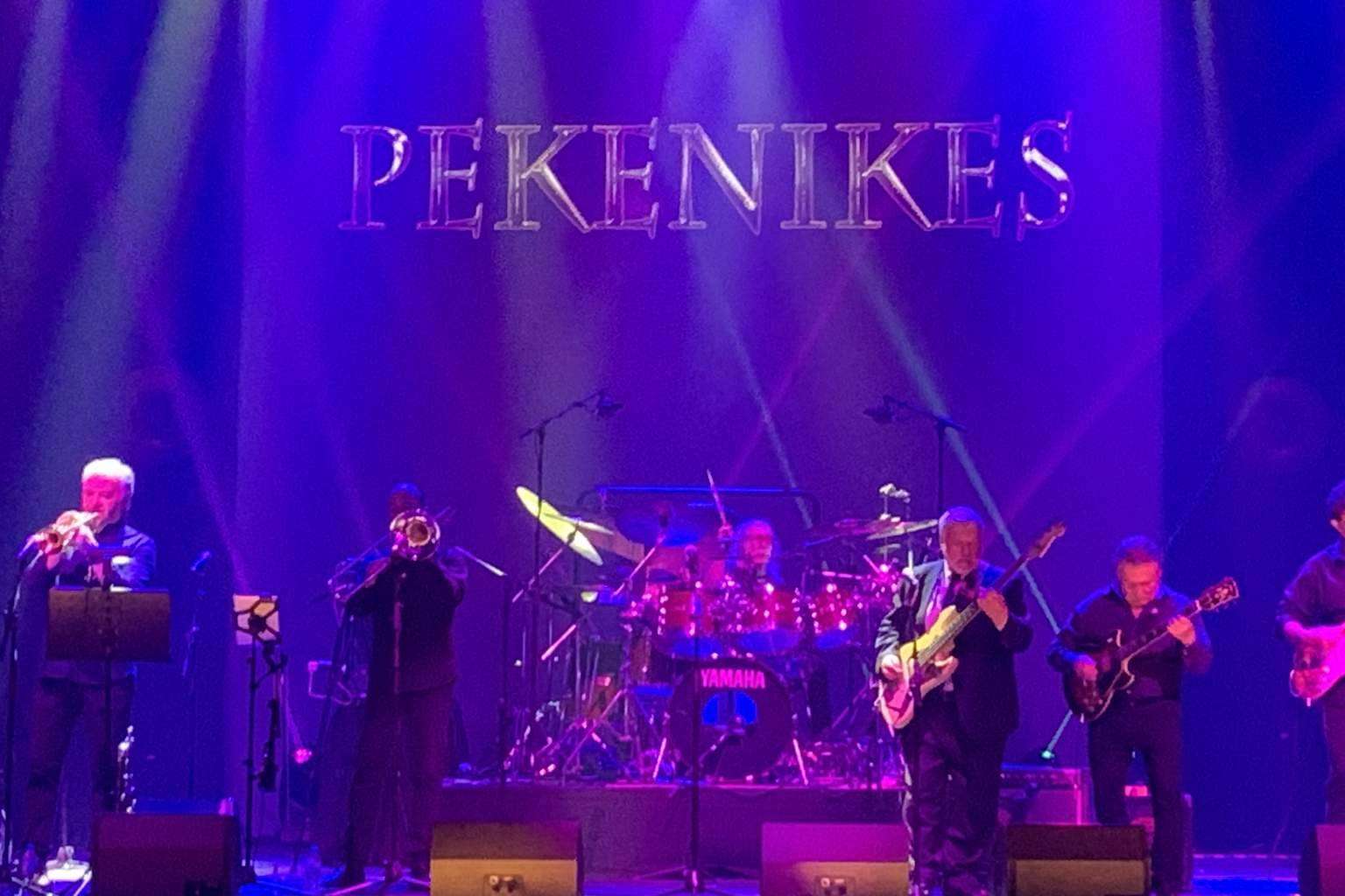 El management de Sindi Producciones de artistas exclusivos, como Camilo Sesto, Jeanette o Los Pekenikes