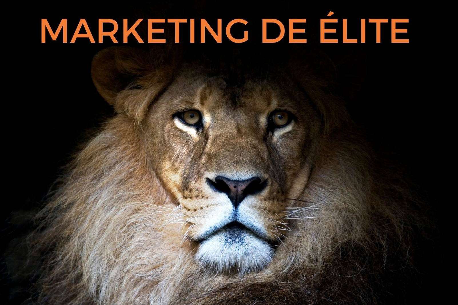 Marketing de Élite, el nuevo libro del León de Ventas