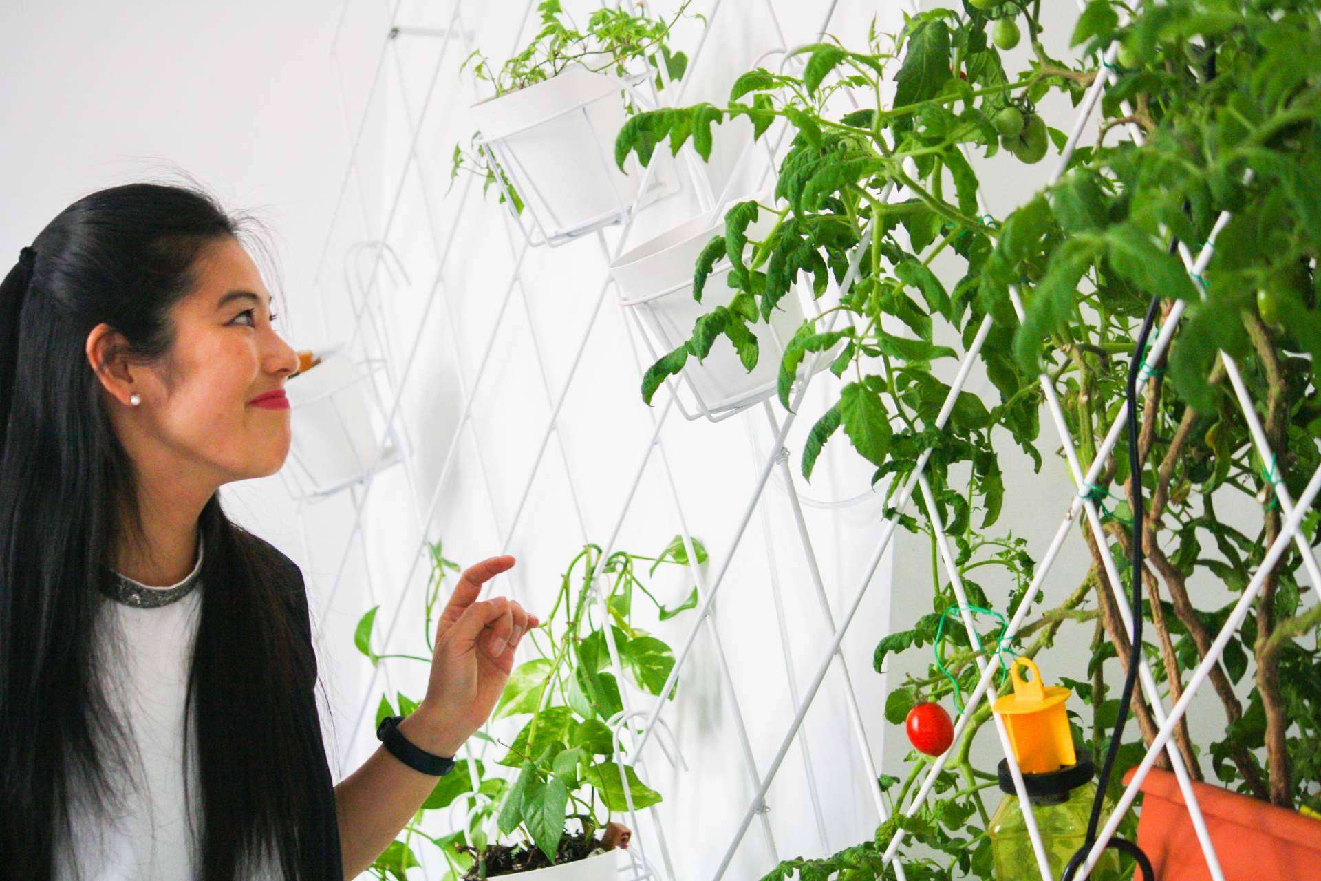 La colaboración entre los habitantes de Urban Campus fomenta la creación de nuevas startups dedicadas a crear espacios verdes para vivir y trabajar