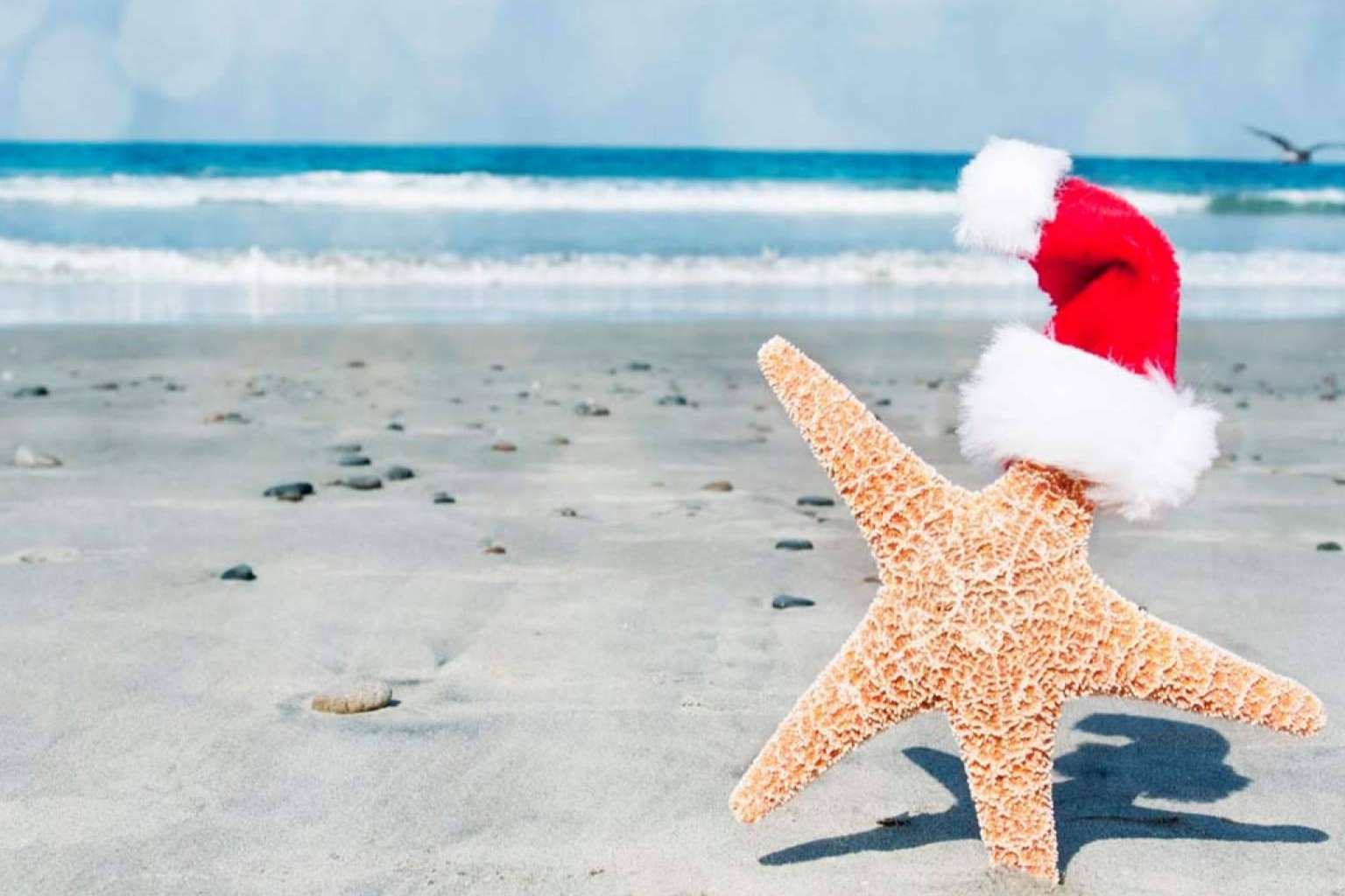 Cada año, más españoles pasan la Nochevieja en las Canarias, según Felices Vacaciones