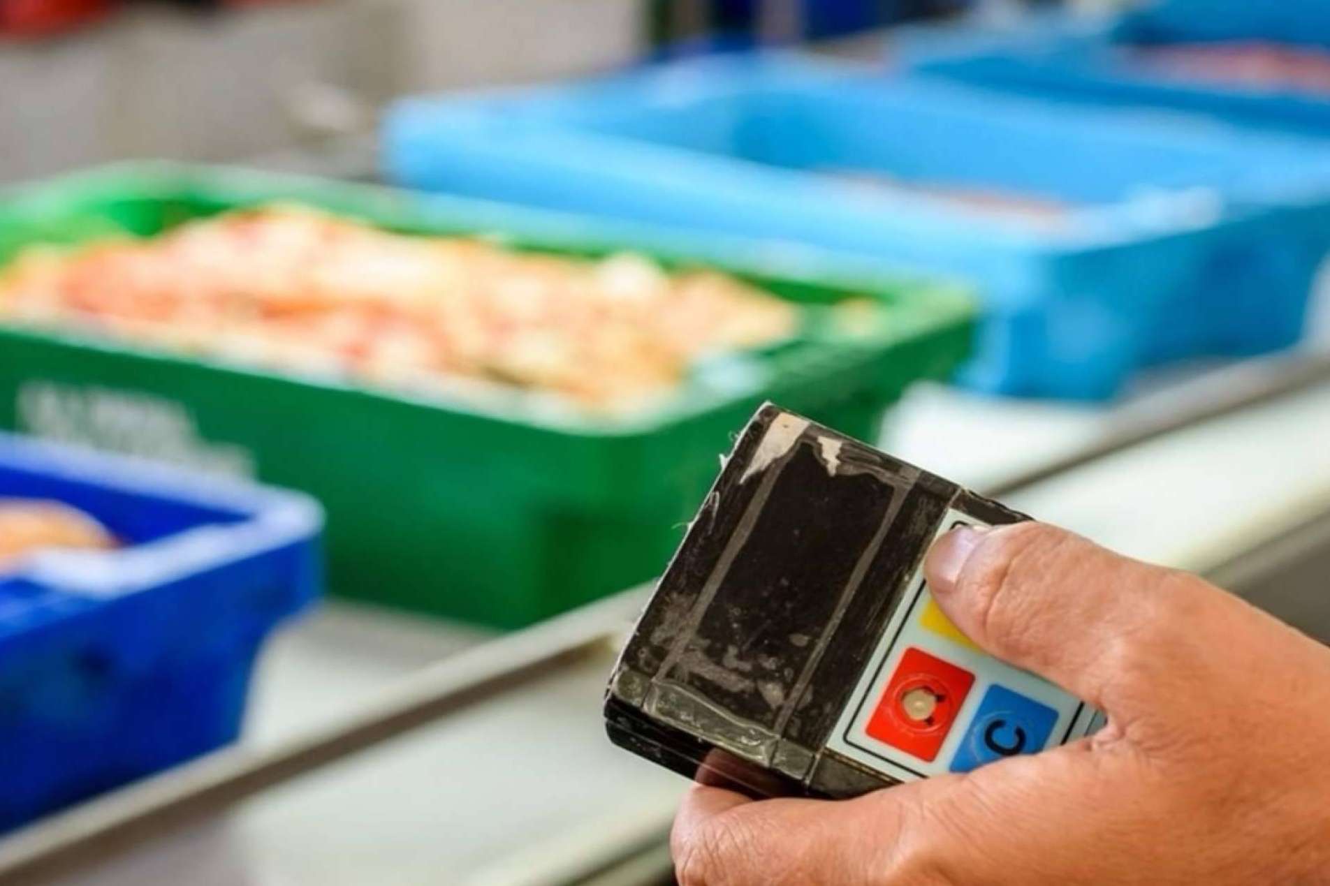 Comprar Mariscos online para Navidad