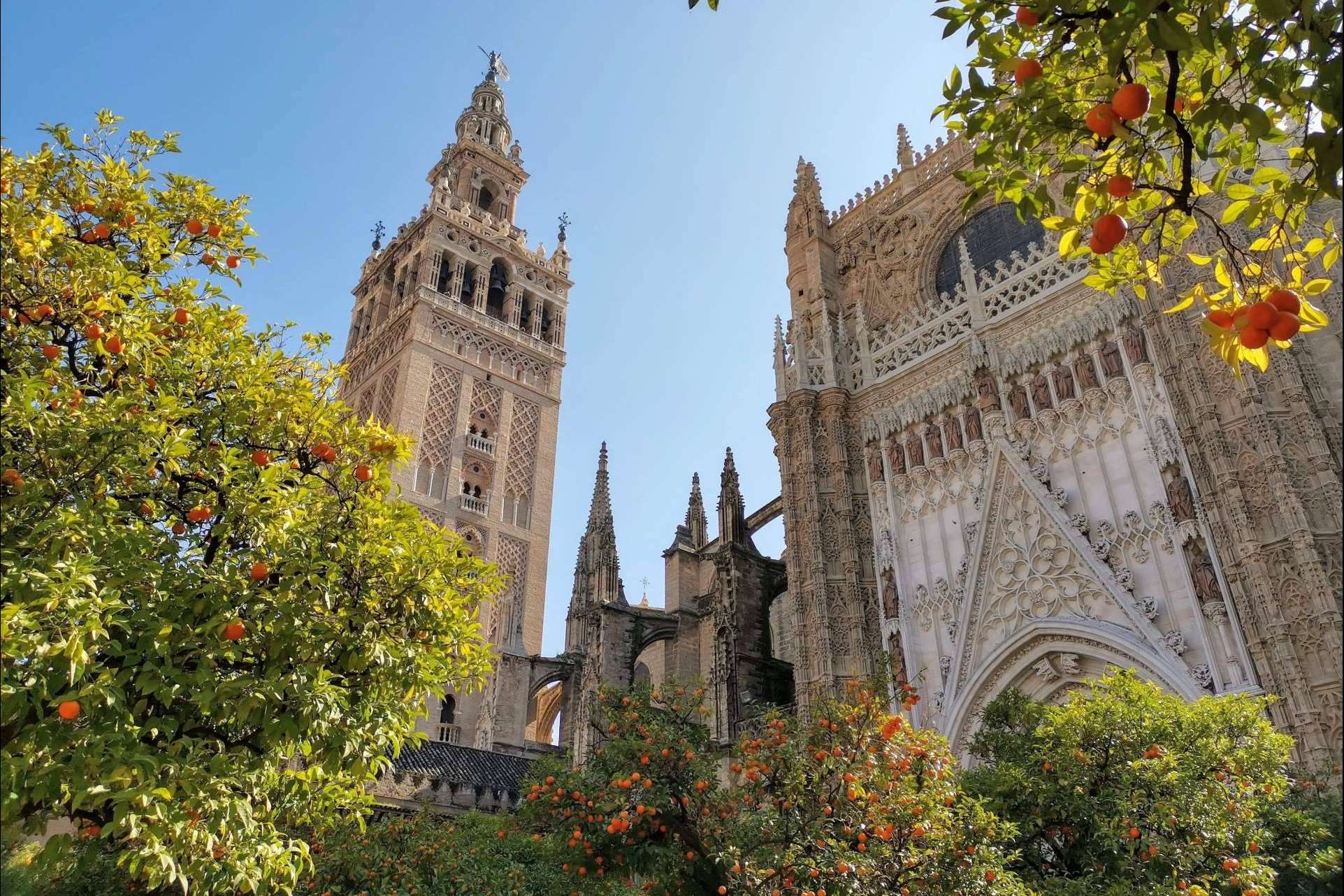 Visitas guiadas en Sevilla con Tu guía de Sevilla