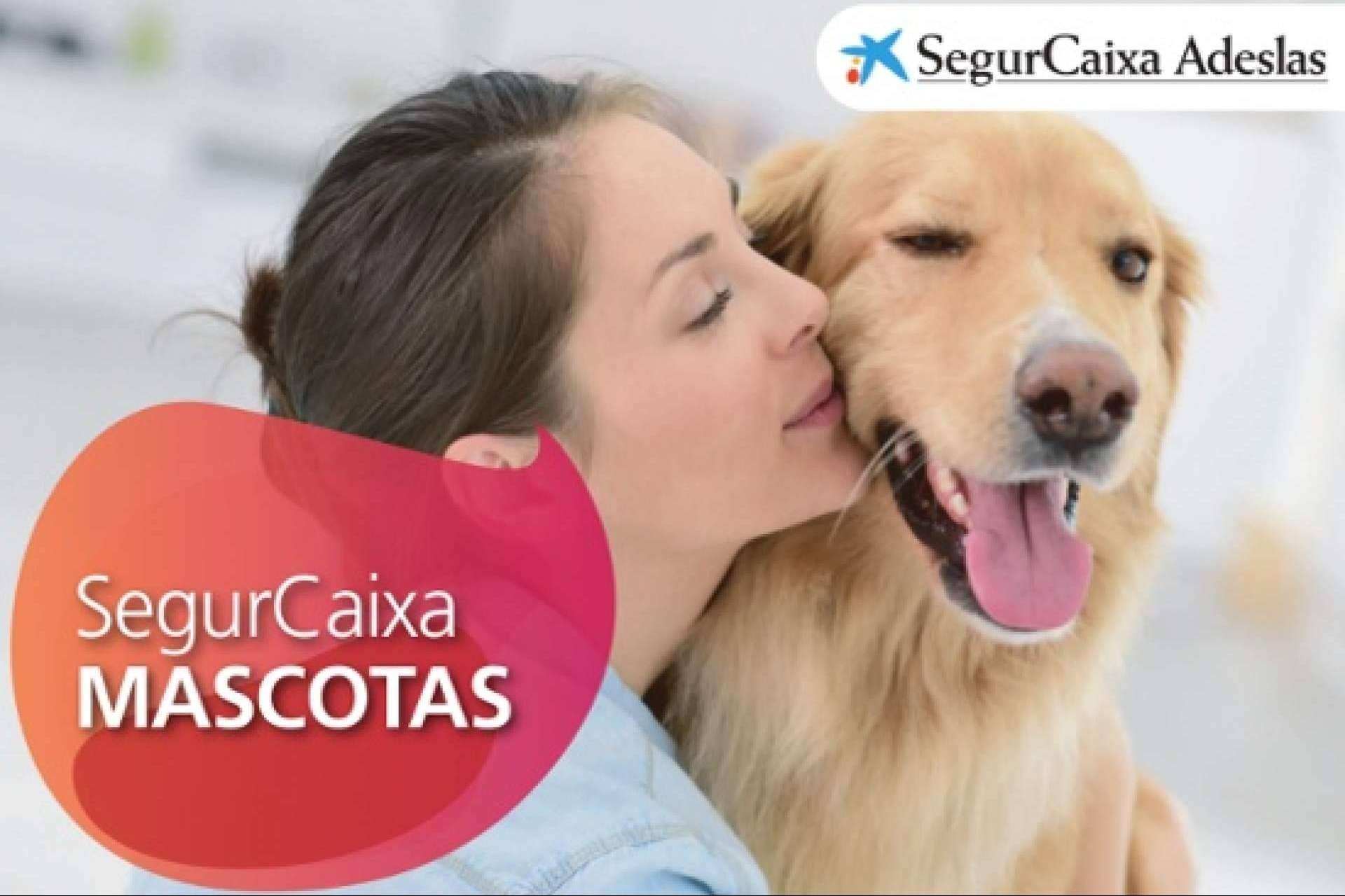 Adeslas Mascotas protege la salud de las mascotas y de sus dueños con su seguro para perros y gatos