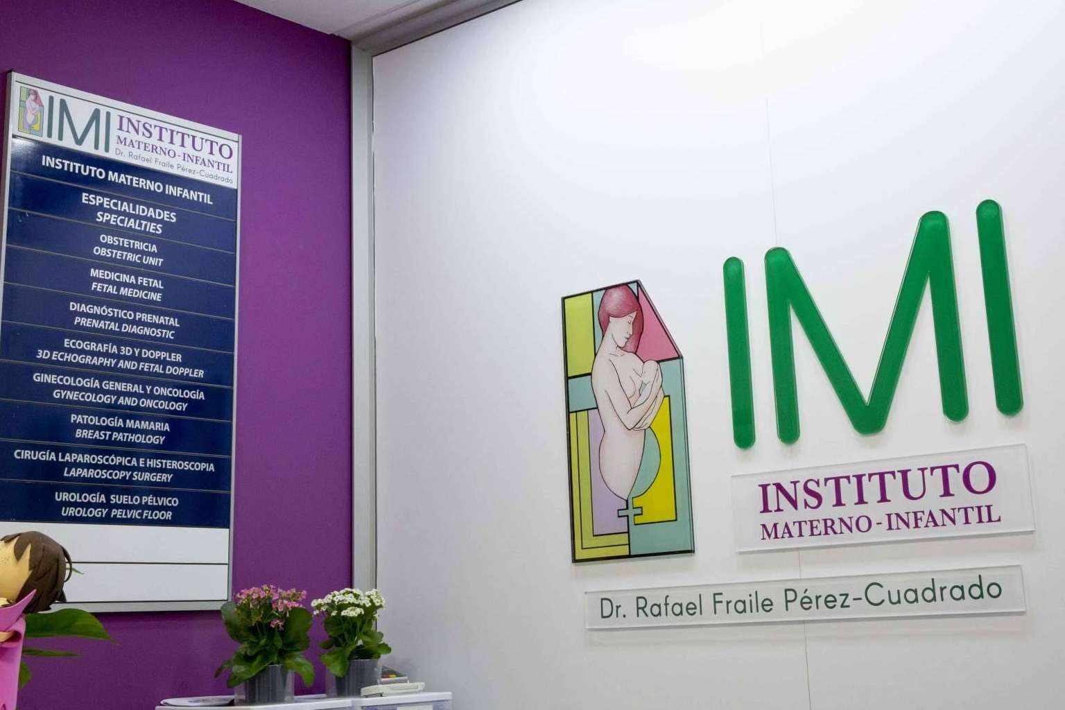 El Instituto Materno-Infantil, uno de los referentes en ginecología y obstetricia del país