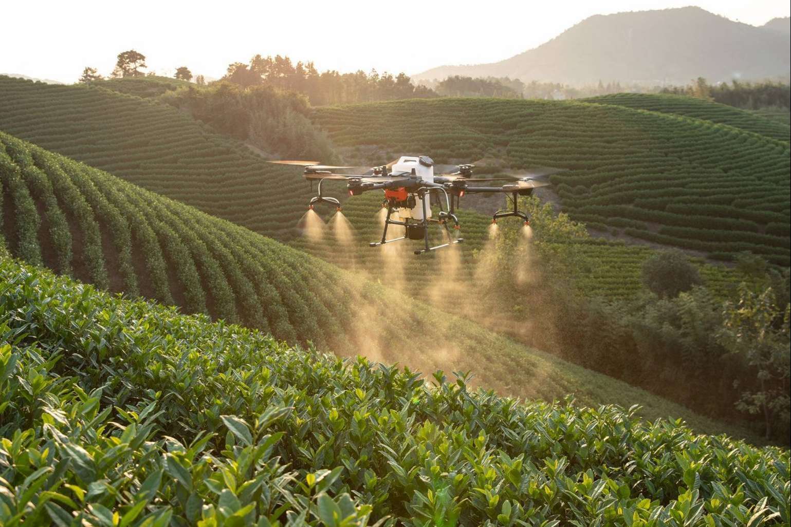 Drones agricultura, el nuevo modelo del futuro de la mano de IbericaDron