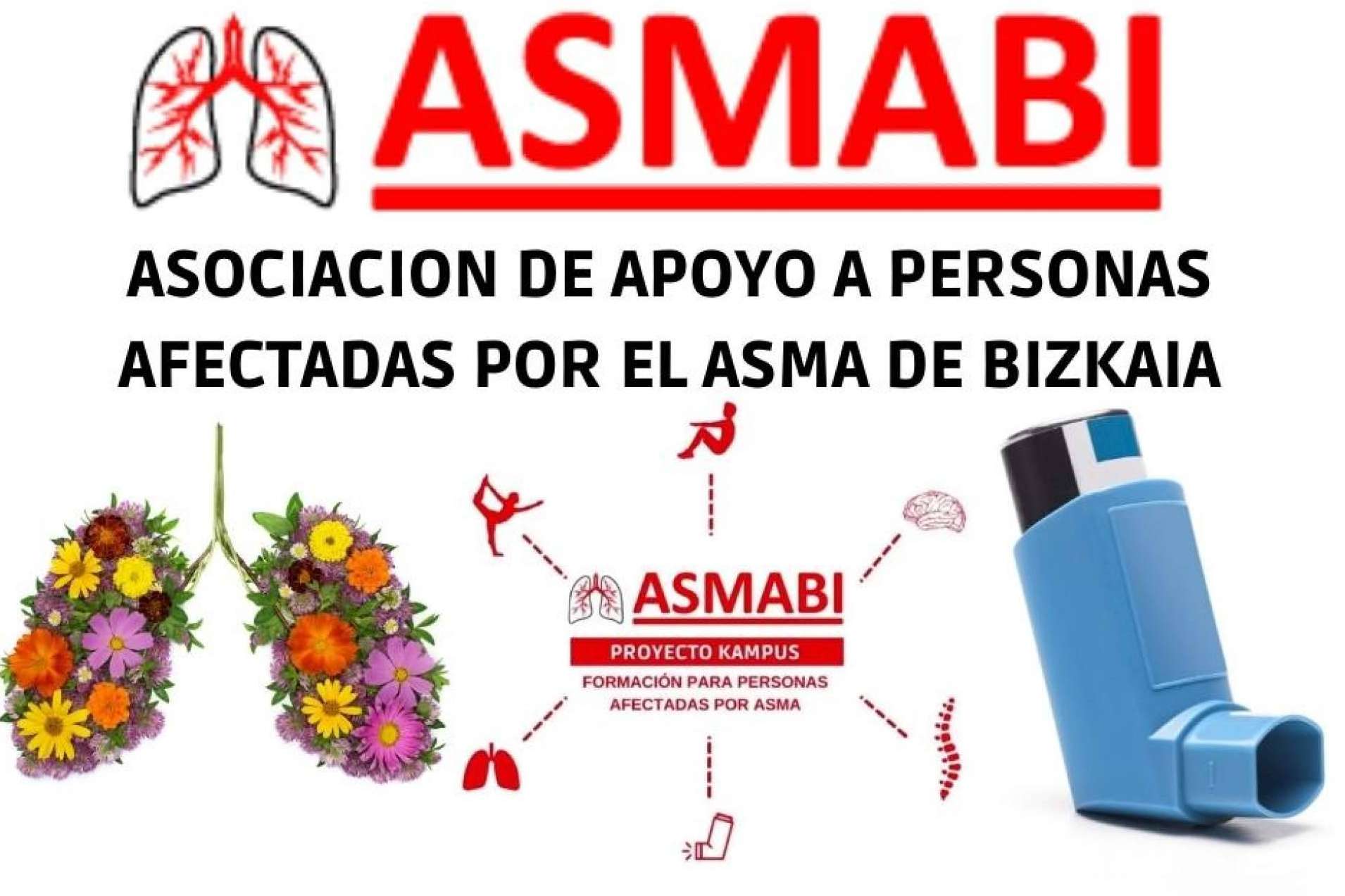 El Proyecto Kampus ASMABI busca brindar herramientas que permitan entender las características del asma