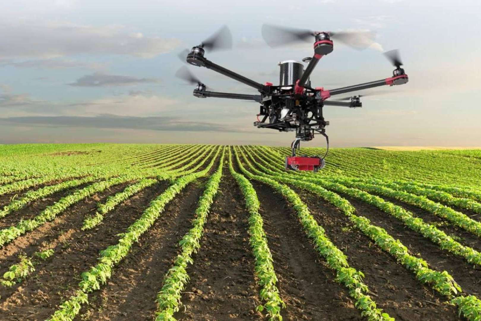 Realizar el curso de teledetección de agricultura de la mano de Aeroescuela Xtreme