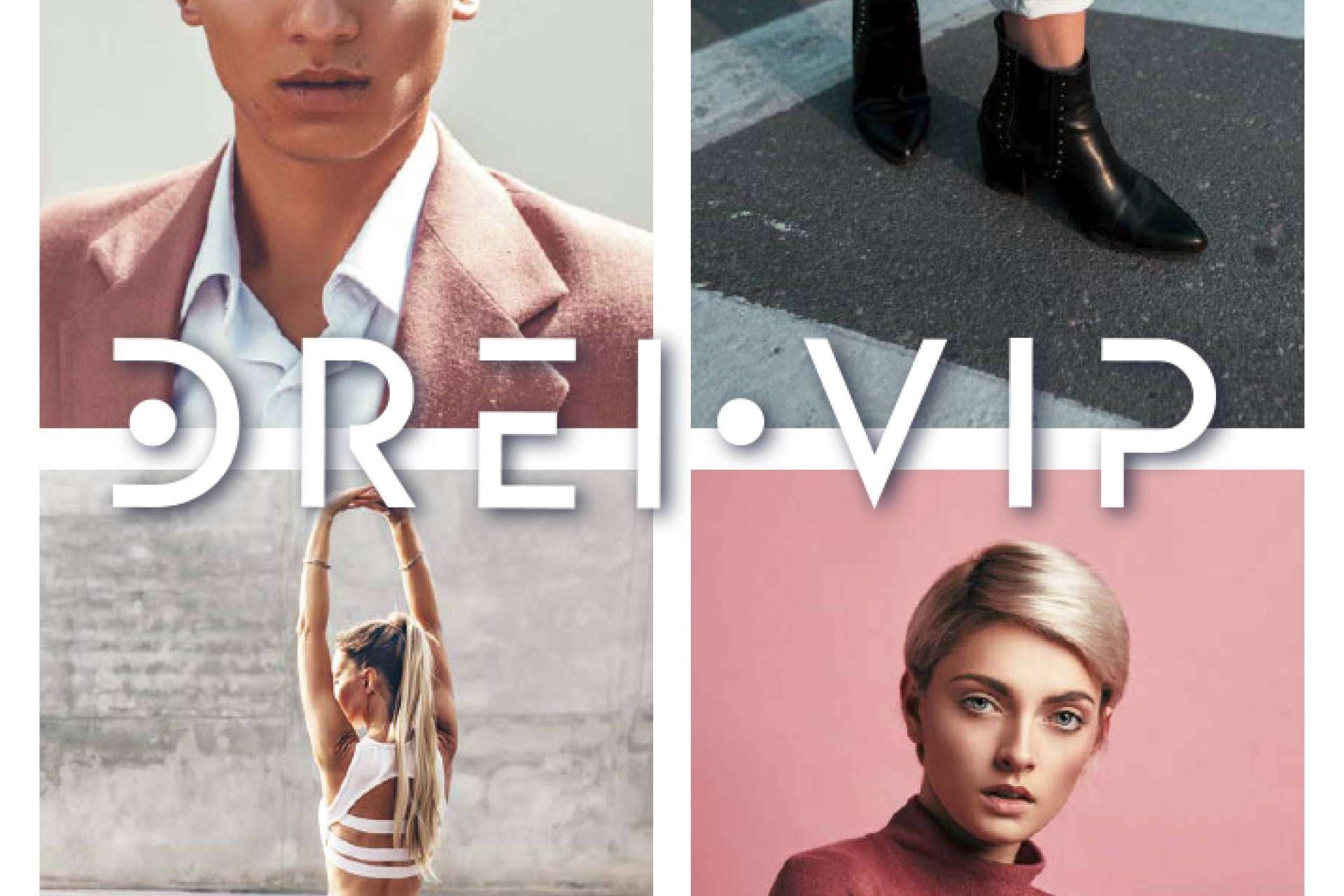 Dreivip, su renovación tras 15 años