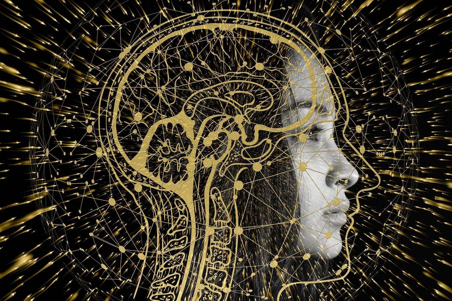 Ejercicios de integración hemisférica para conseguir un rendimiento óptimo del cerebro