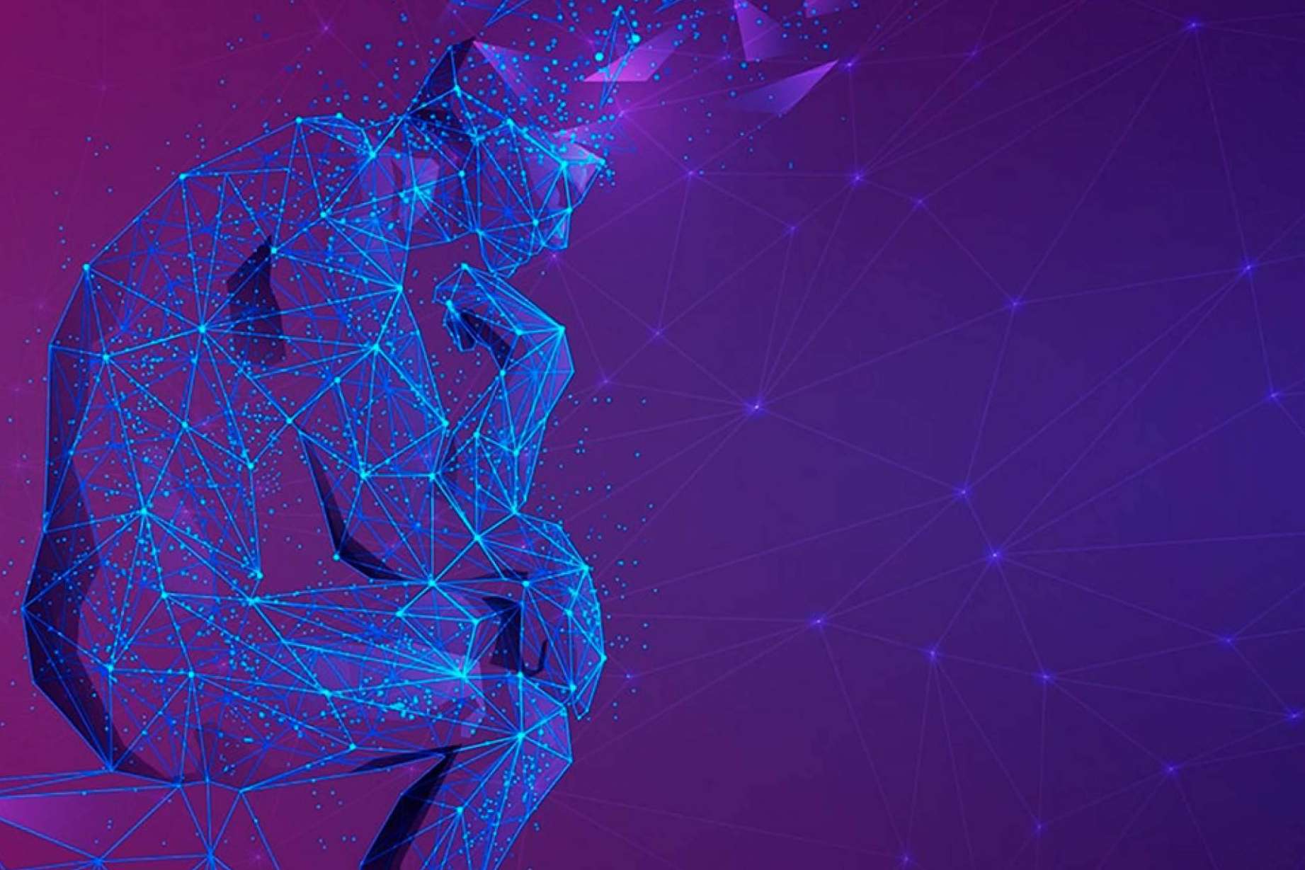 Descubrir el plan de formación de inteligencia emocional desde el estudio científico de la Psicología, la Neurociencia y la Salud desde el Instituto Psicobiológico