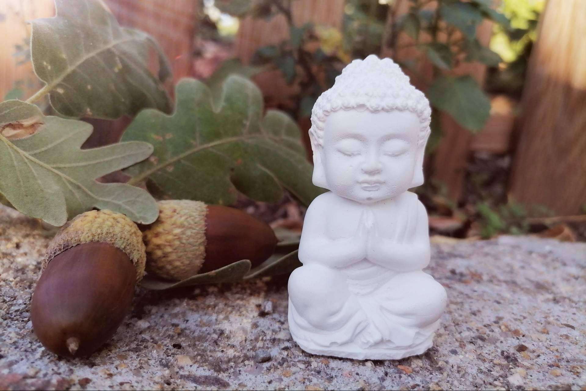 Cursos online de mindfulness de la mano de Psicosoluciones Burgos