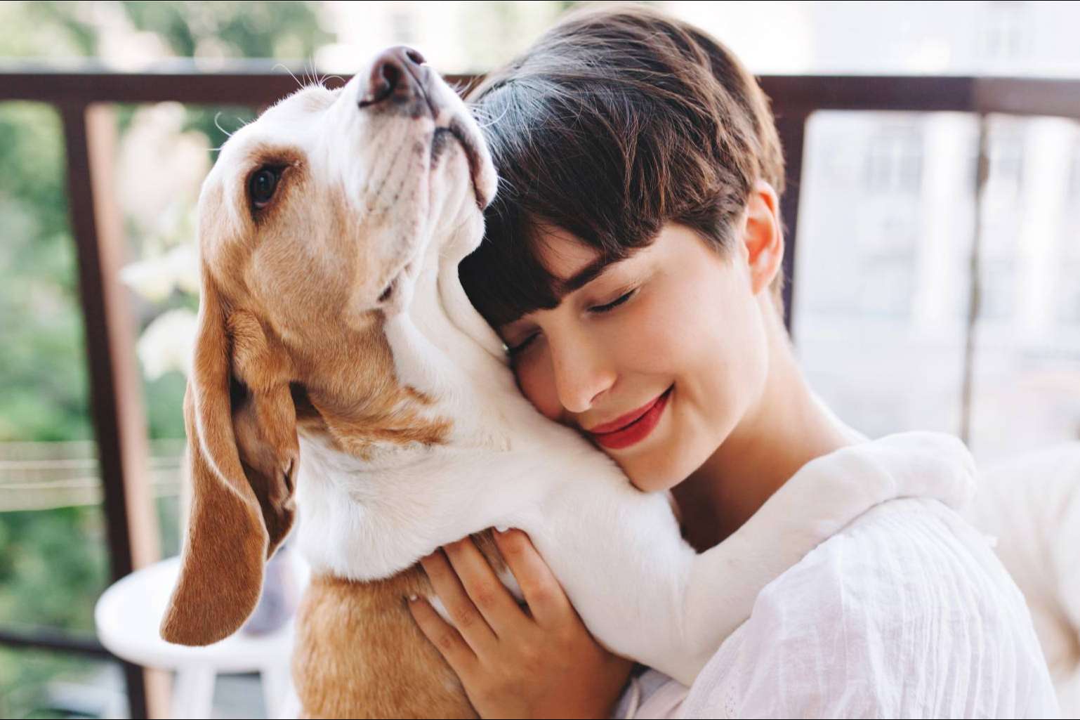 Nueva tienda de mascotas online solidaria, Pets4Good