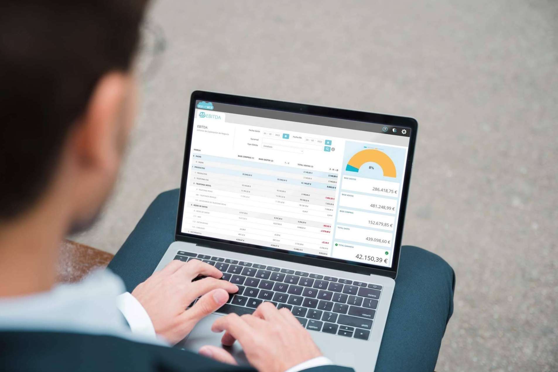 ecoSoftWEB, el software para empresas de ecoSoft Consulting