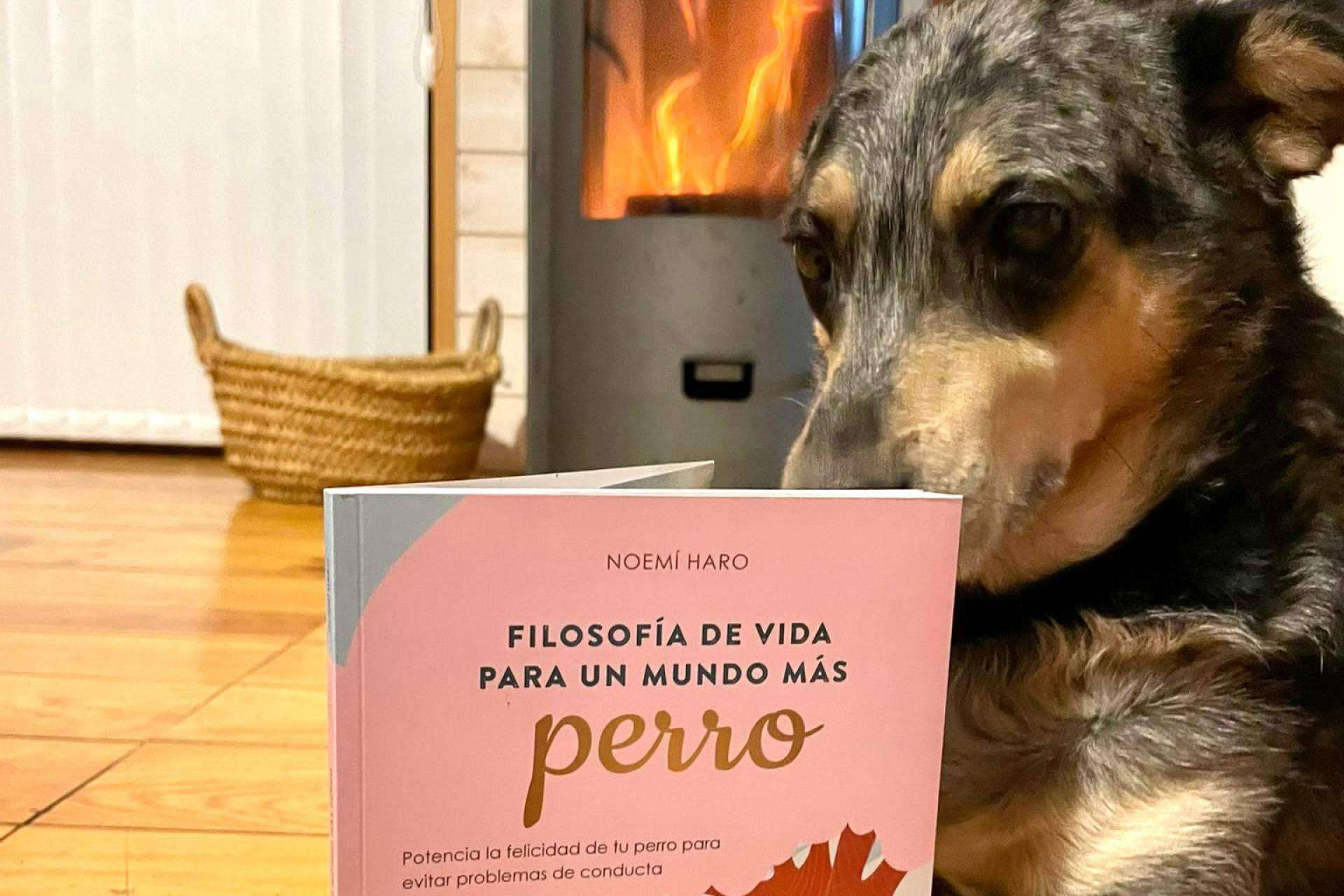 Ulises y Argos presenta ‘Filosofía de vida para un mundo más perro’, educación canina de calidad