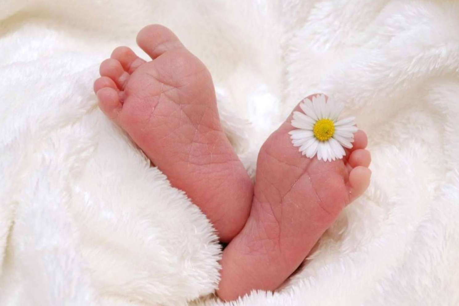 Clínica de Fertilidad Gaia y la técnica de Inseminación Artificial (IA) Conyugal