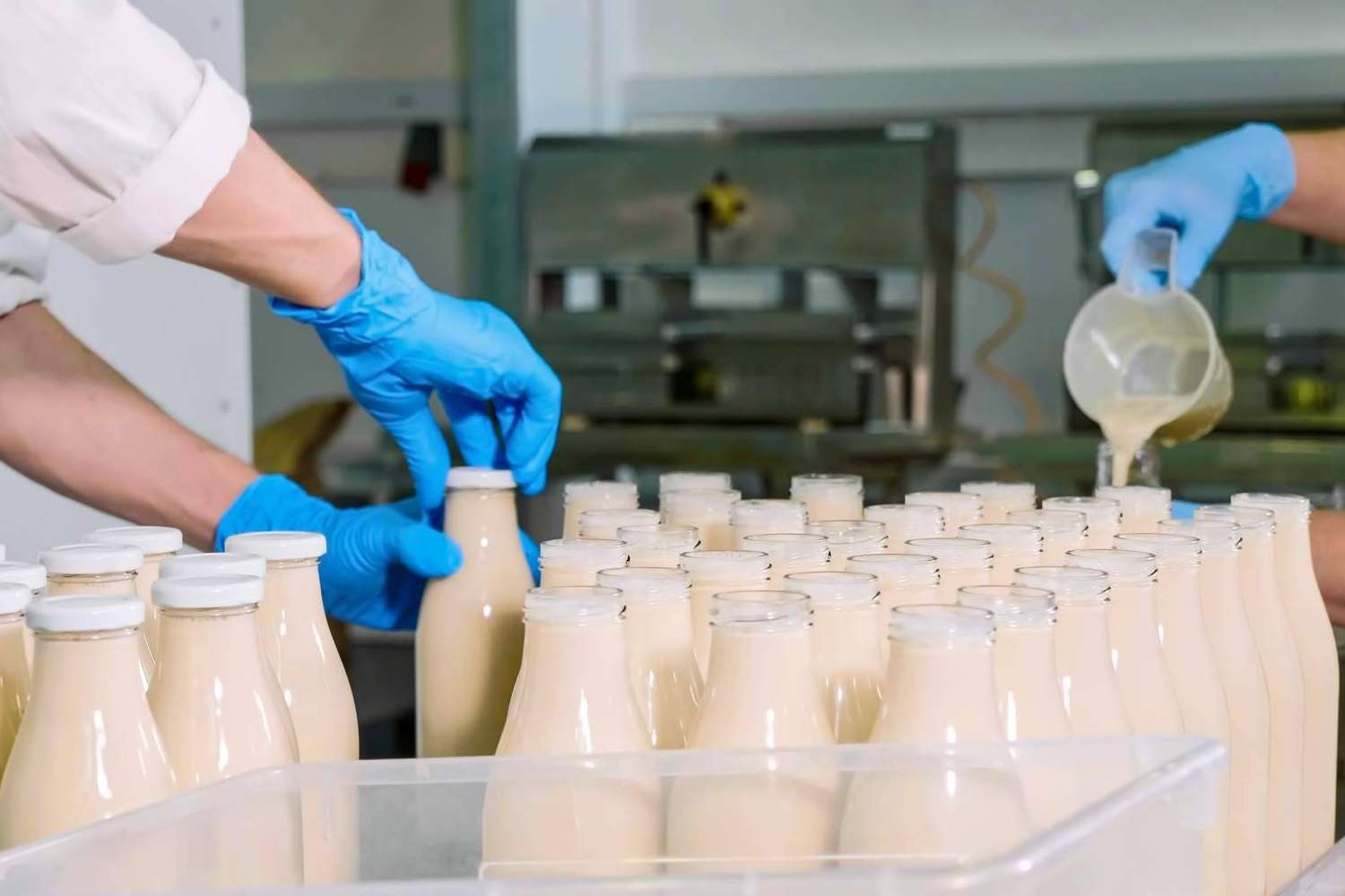 iGes21, ERP para la industria alimentaria especializado en la fabricación y distribución de alimentos