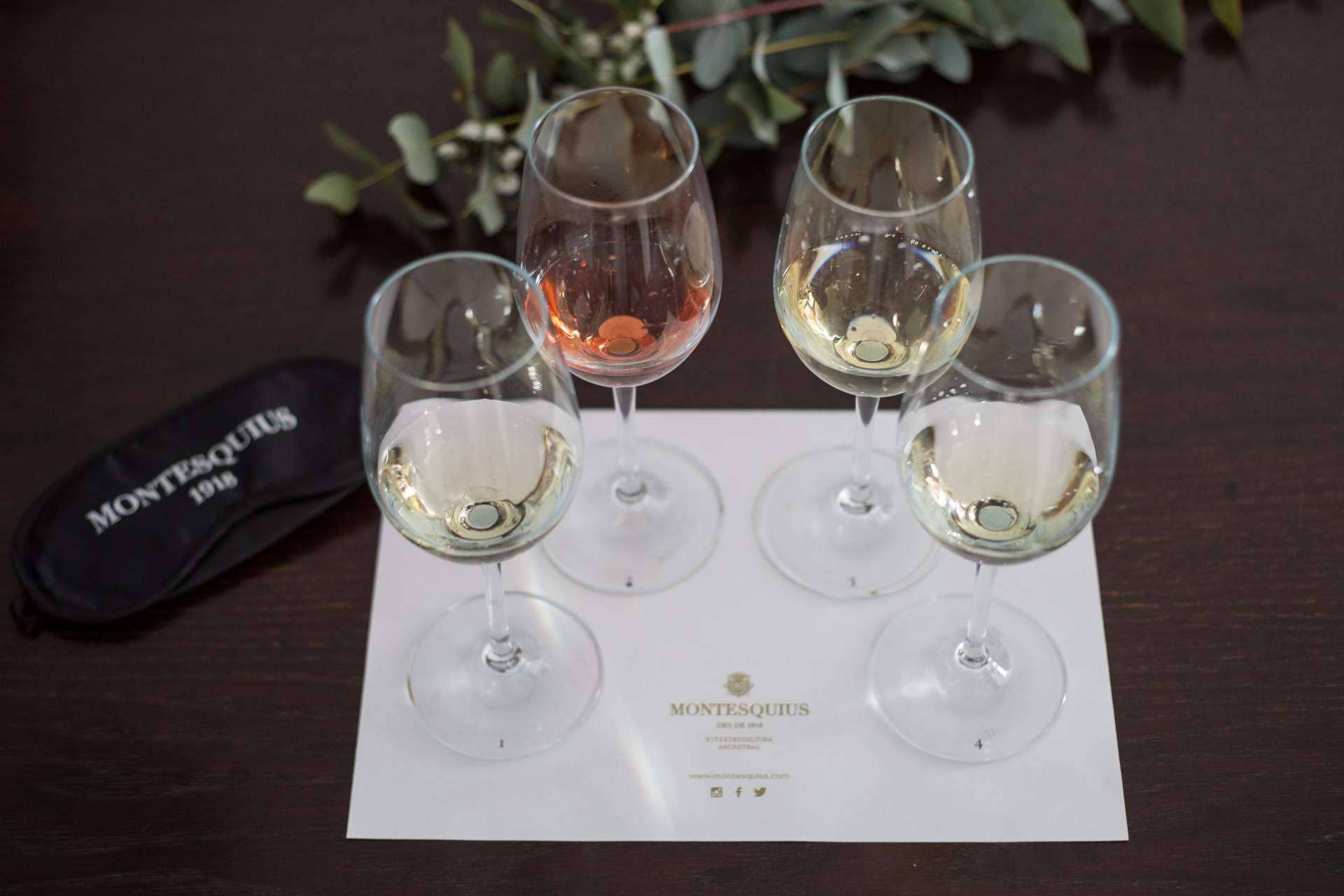 Tours privados y catas a ciegas en Sant Sadurní d’Anoia, la capital del cava