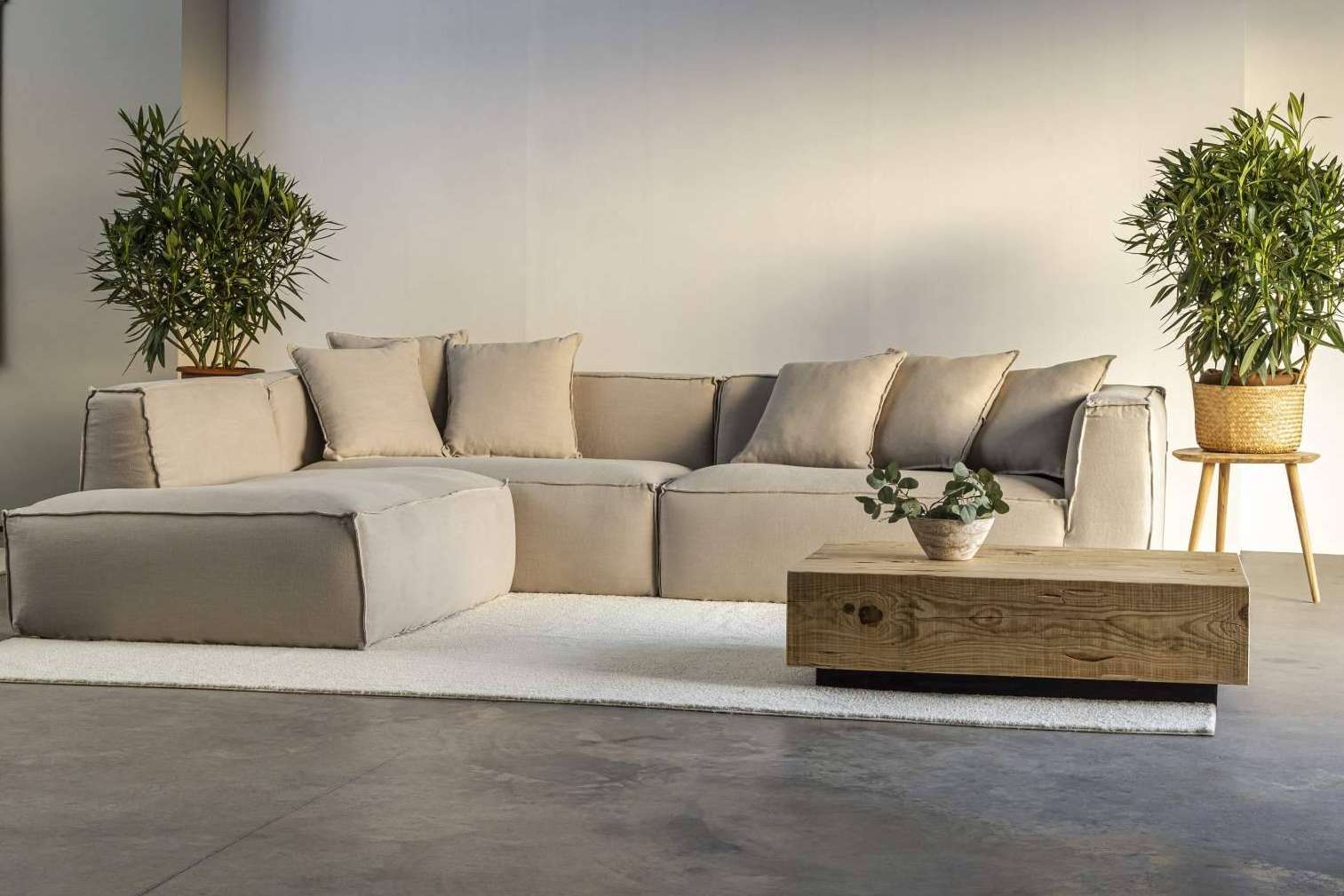 Galerías Sofàs i Descans anuncia su nuevo nombre de marca, MIMMA GALLERY