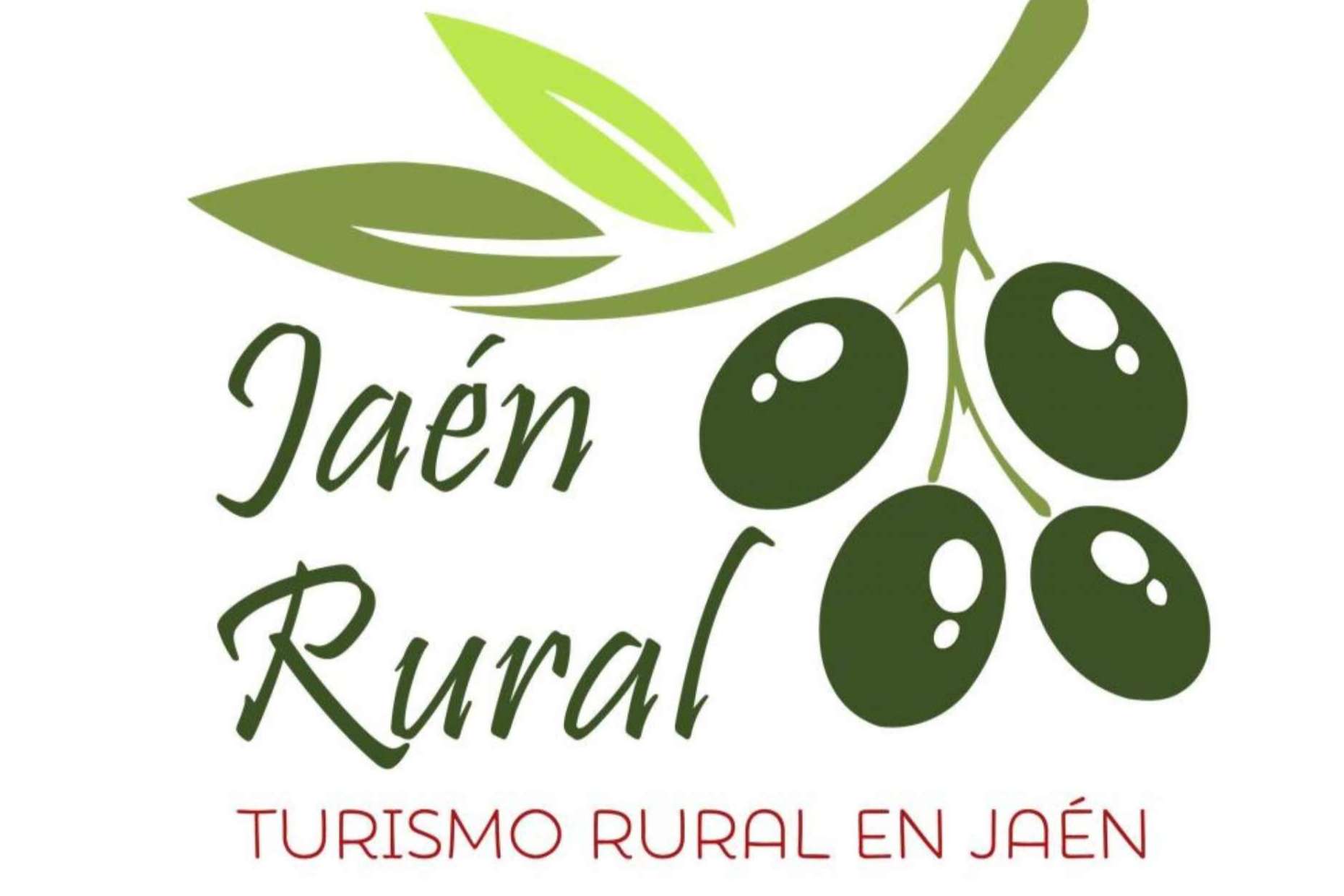 Alojarse y buscar actividades en Úbeda y Baeza con la app de Jaén Rural