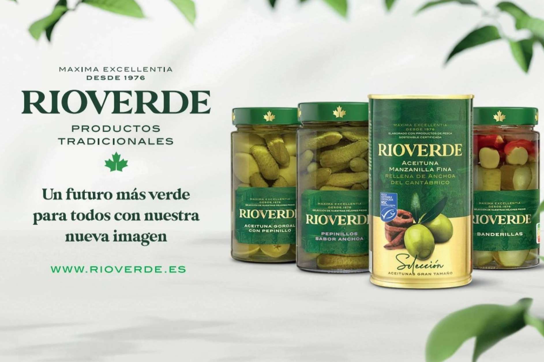 Beneficios del consumo de aceitunas con anchoas, pepinillos y remolacha, por Rioverde