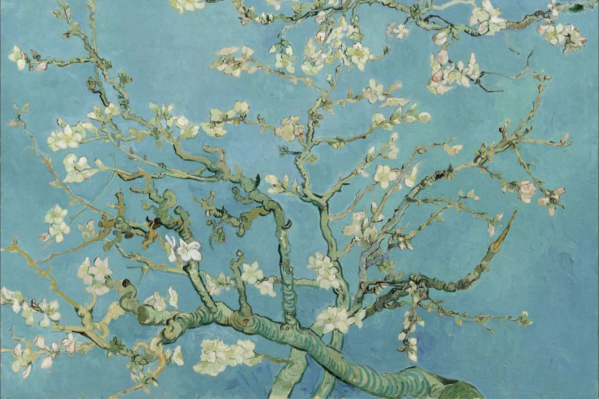 Pintar por números La Noche Estrellada de Vincent Van Gogh con Canvas by Numbers